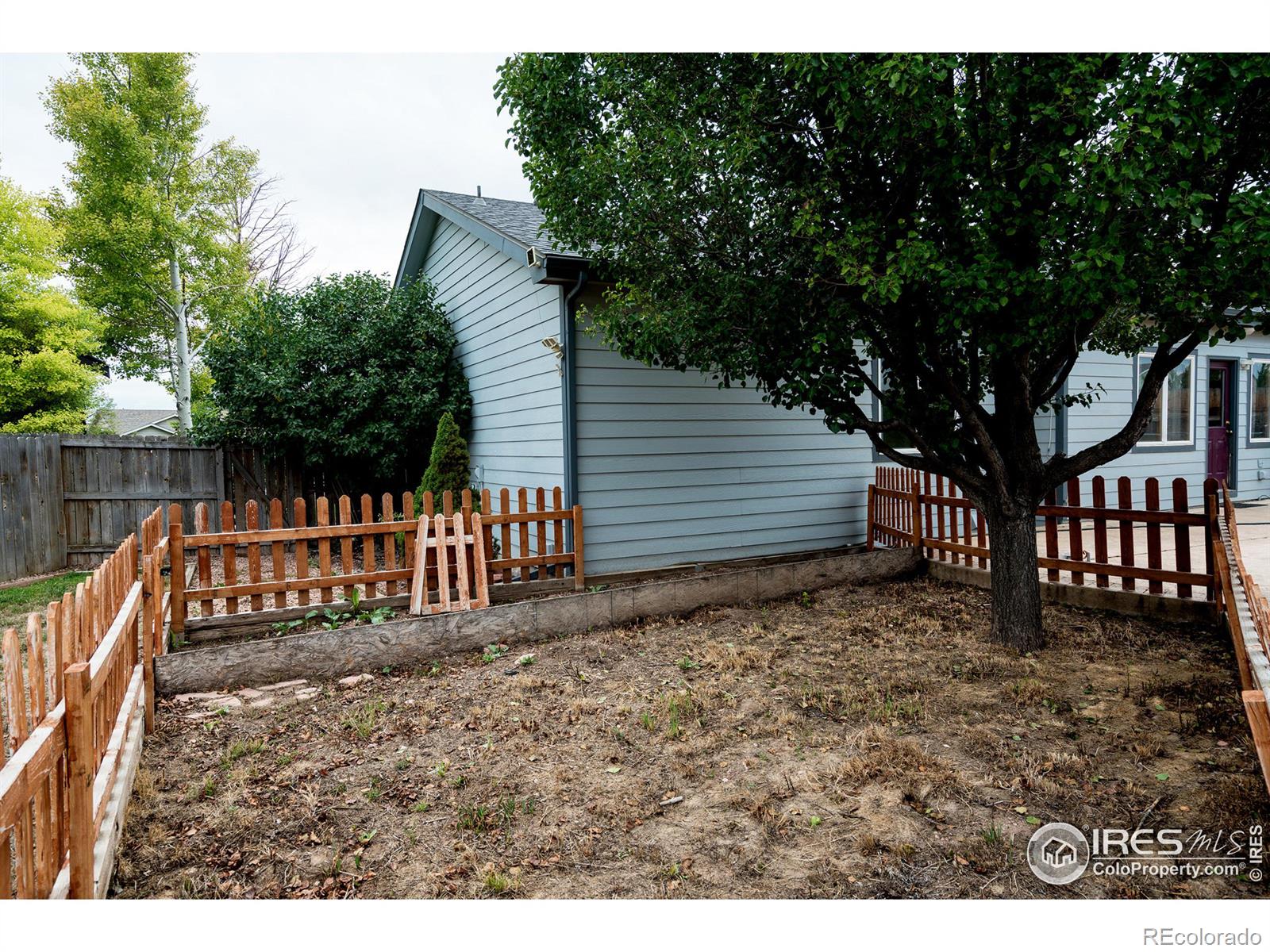 MLS Image #37 for 3367  mammoth court,wellington, Colorado