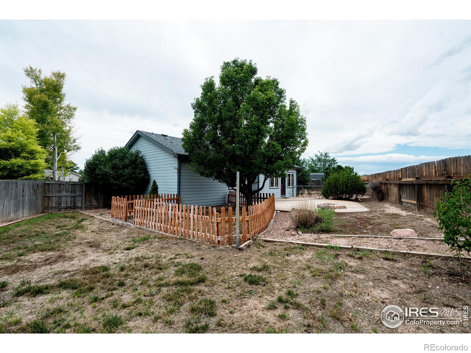 MLS Image #38 for 3367  mammoth court,wellington, Colorado