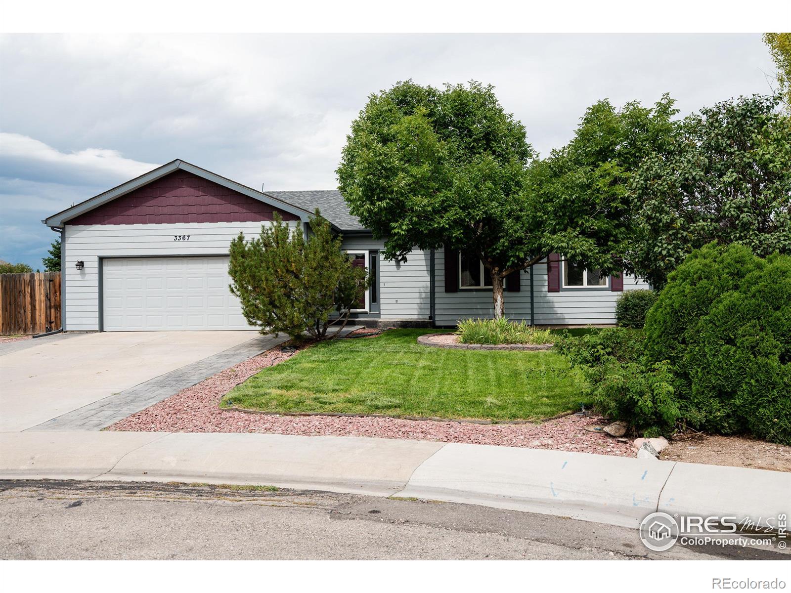 MLS Image #39 for 3367  mammoth court,wellington, Colorado