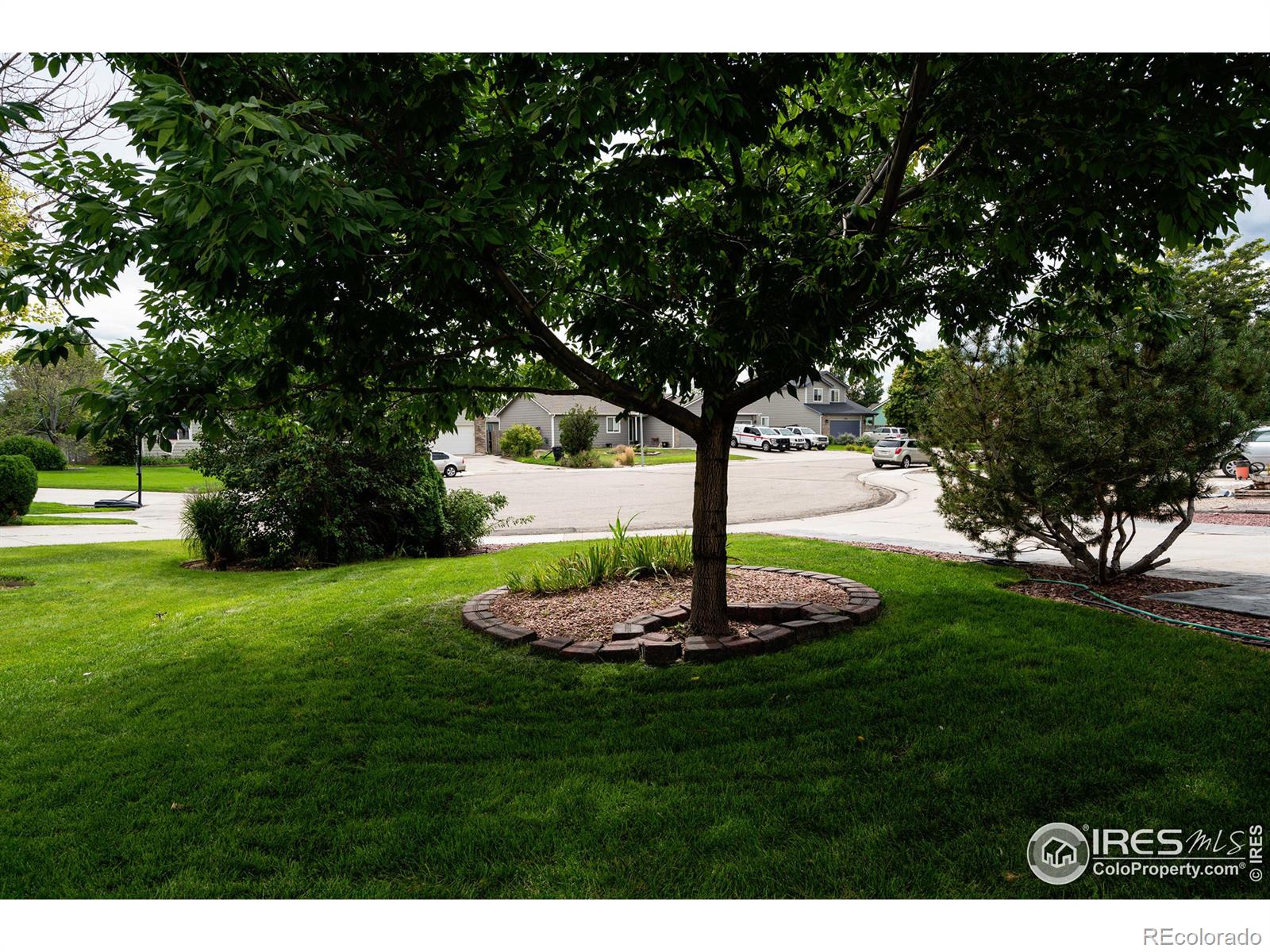 MLS Image #4 for 3367  mammoth court,wellington, Colorado