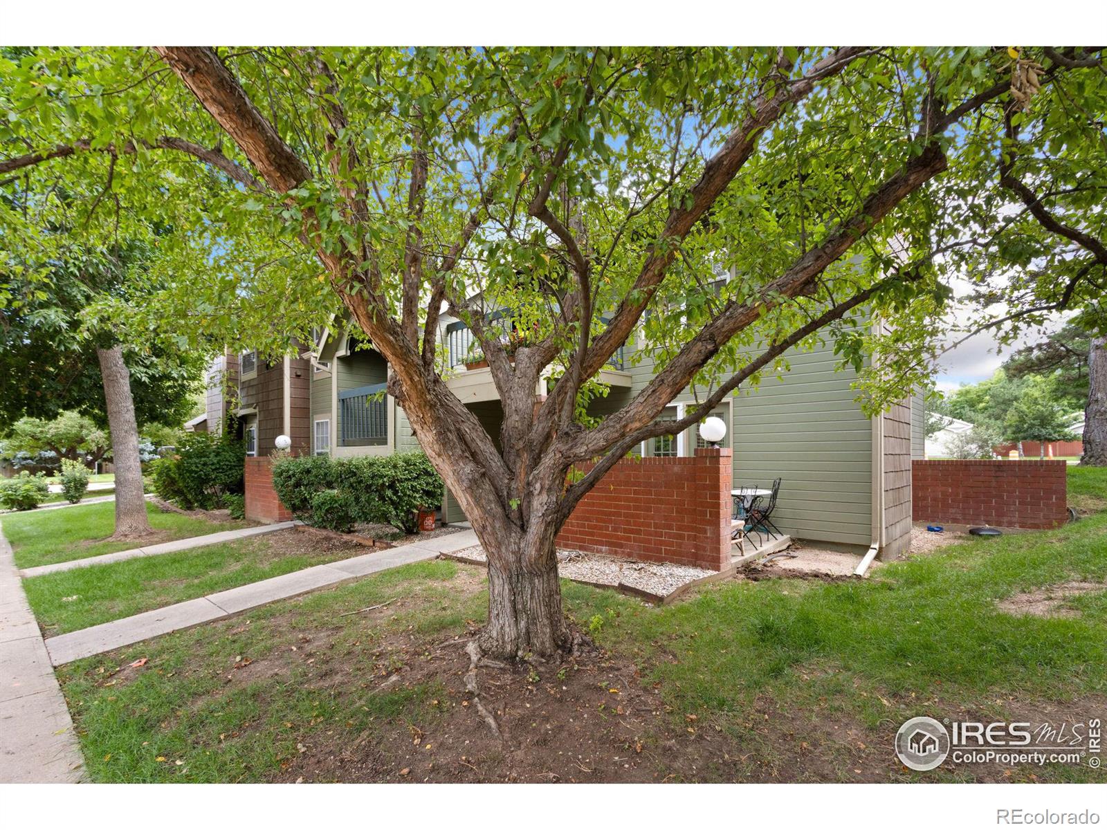 MLS Image #13 for 3565  windmill drive,fort collins, Colorado