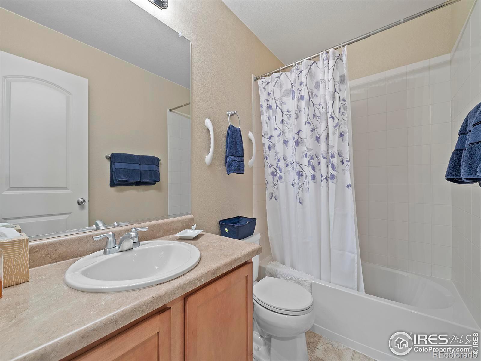 MLS Image #18 for 5280  tall spruce street,brighton, Colorado