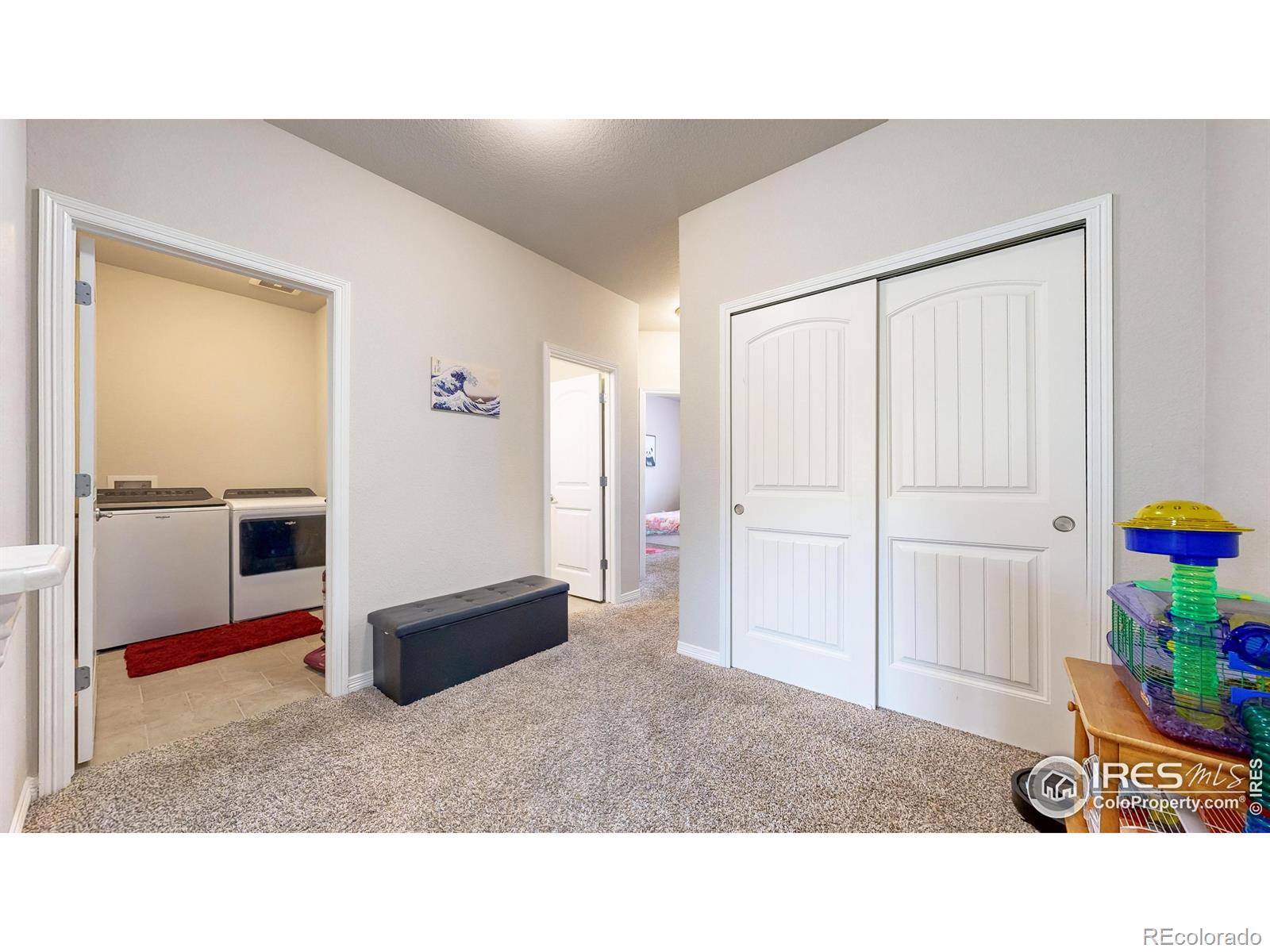 MLS Image #13 for 2445  ridge top drive,fort collins, Colorado