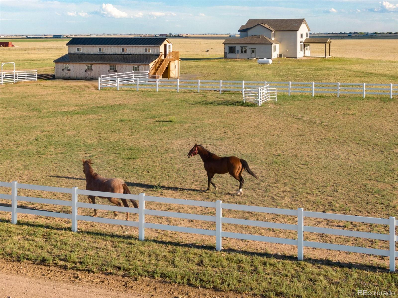 MLS Image #6 for 50988  county road 33 ,nunn, Colorado