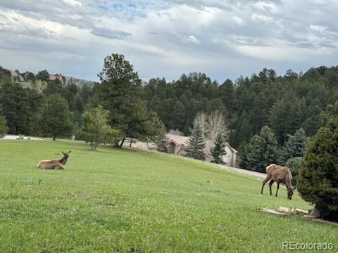 MLS Image #44 for 858  eastwood drive,golden, Colorado