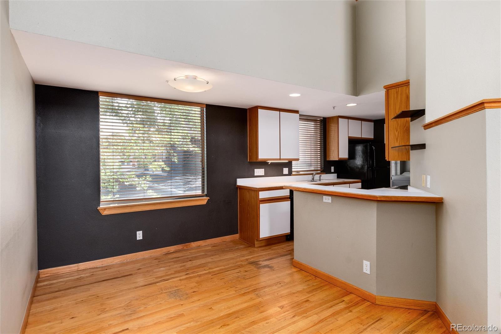 MLS Image #15 for 790 n clarkson street,denver, Colorado