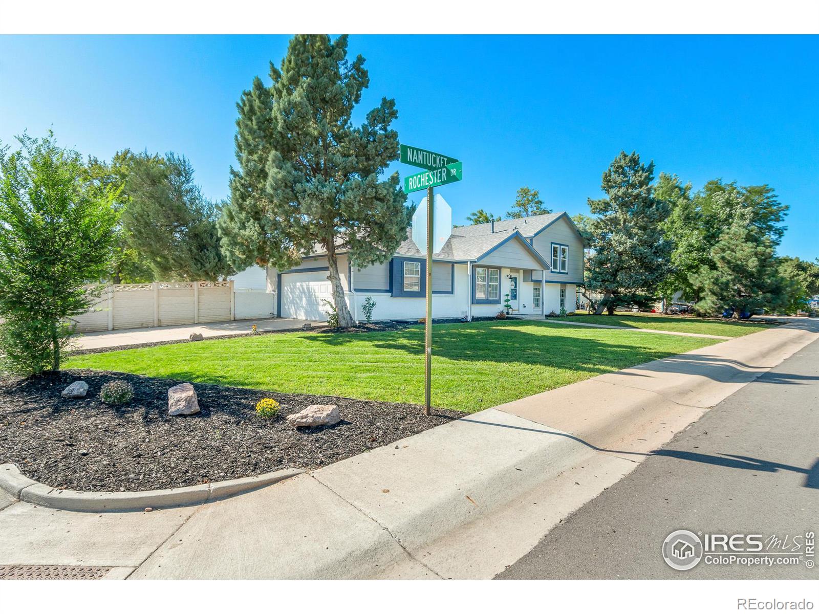 MLS Image #3 for 970  nantucket street,windsor, Colorado