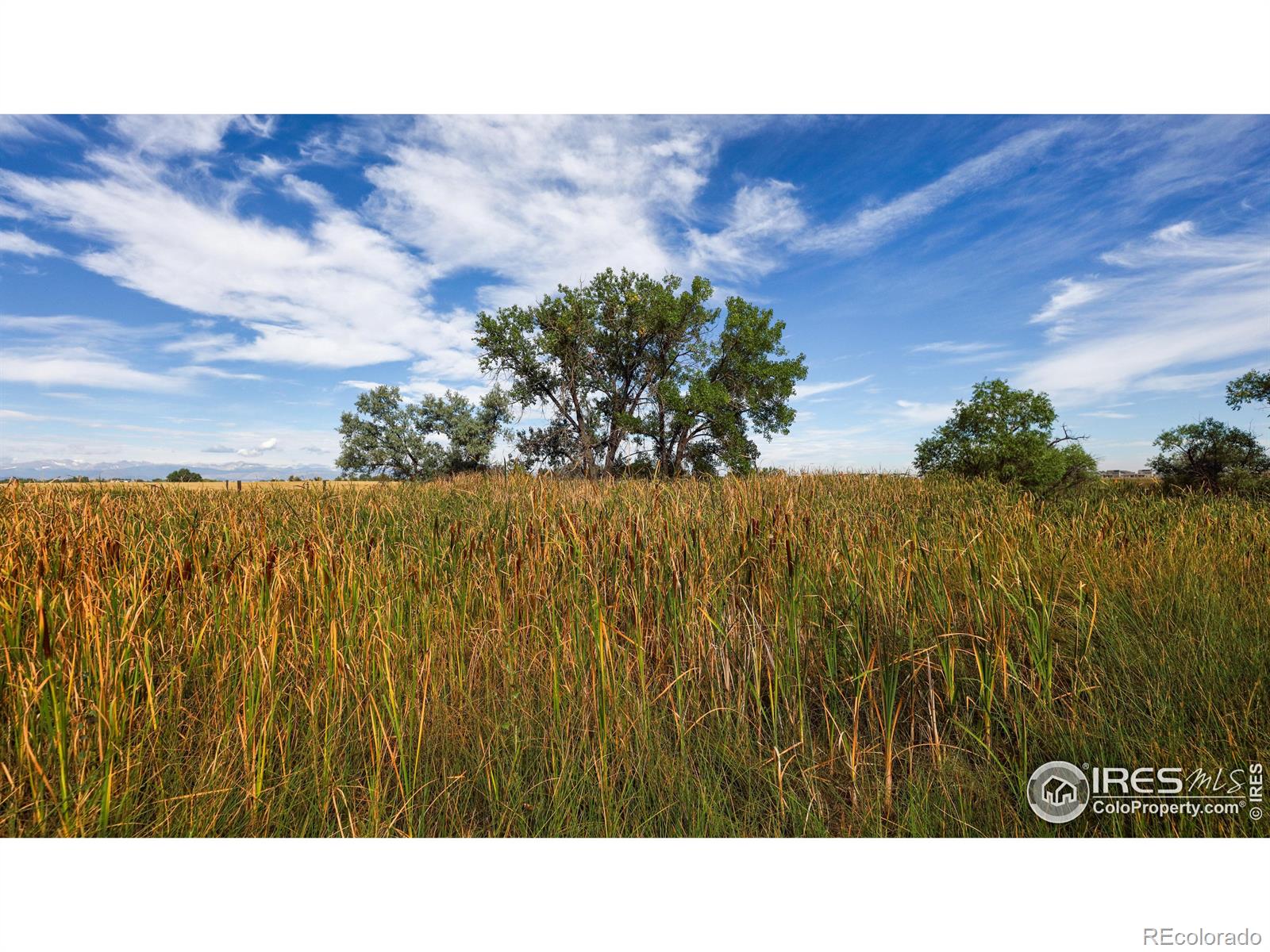 MLS Image #36 for 12581  flagg drive,lafayette, Colorado