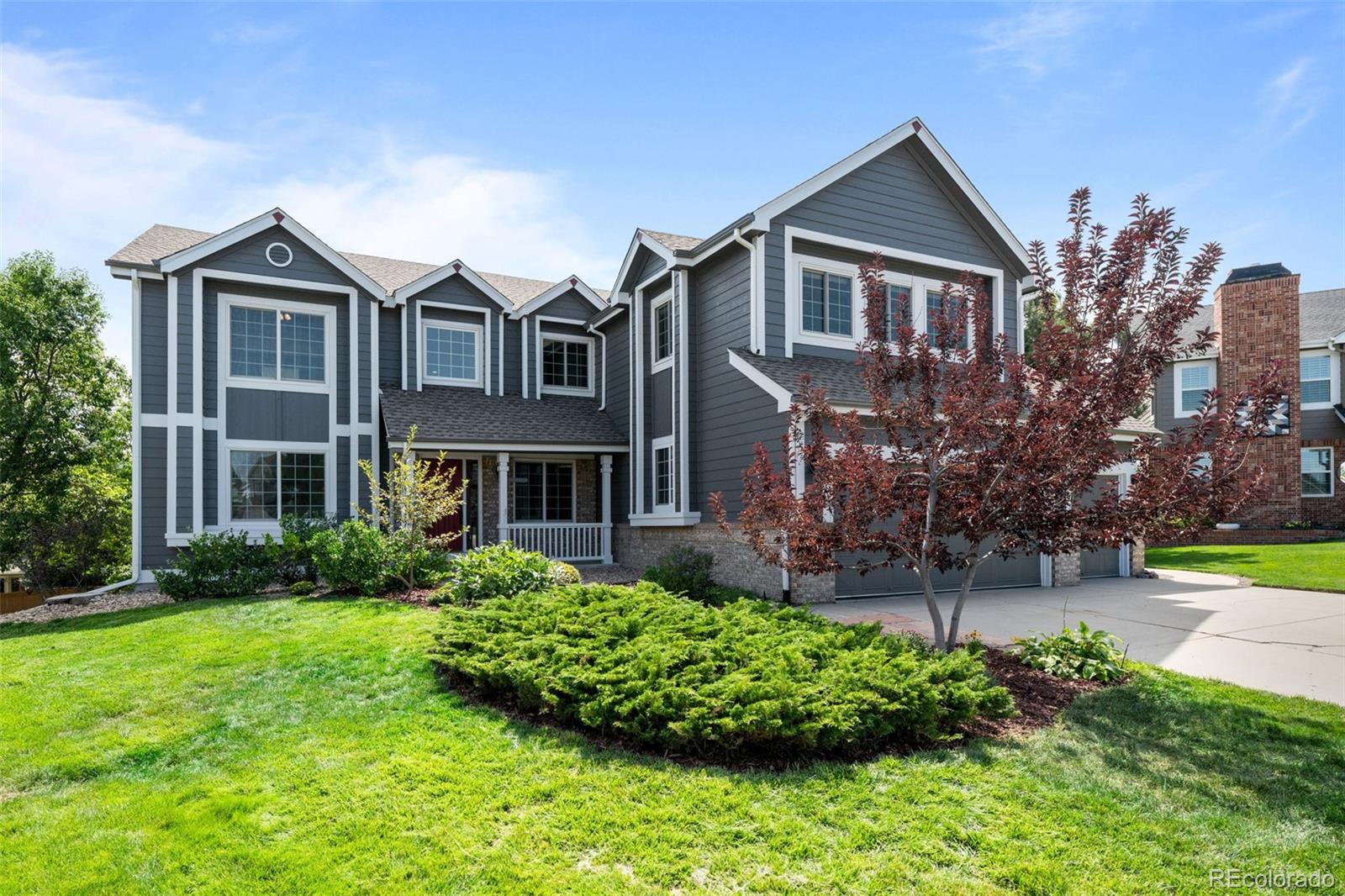 MLS Image #3 for 9370  lark sparrow trail,highlands ranch, Colorado