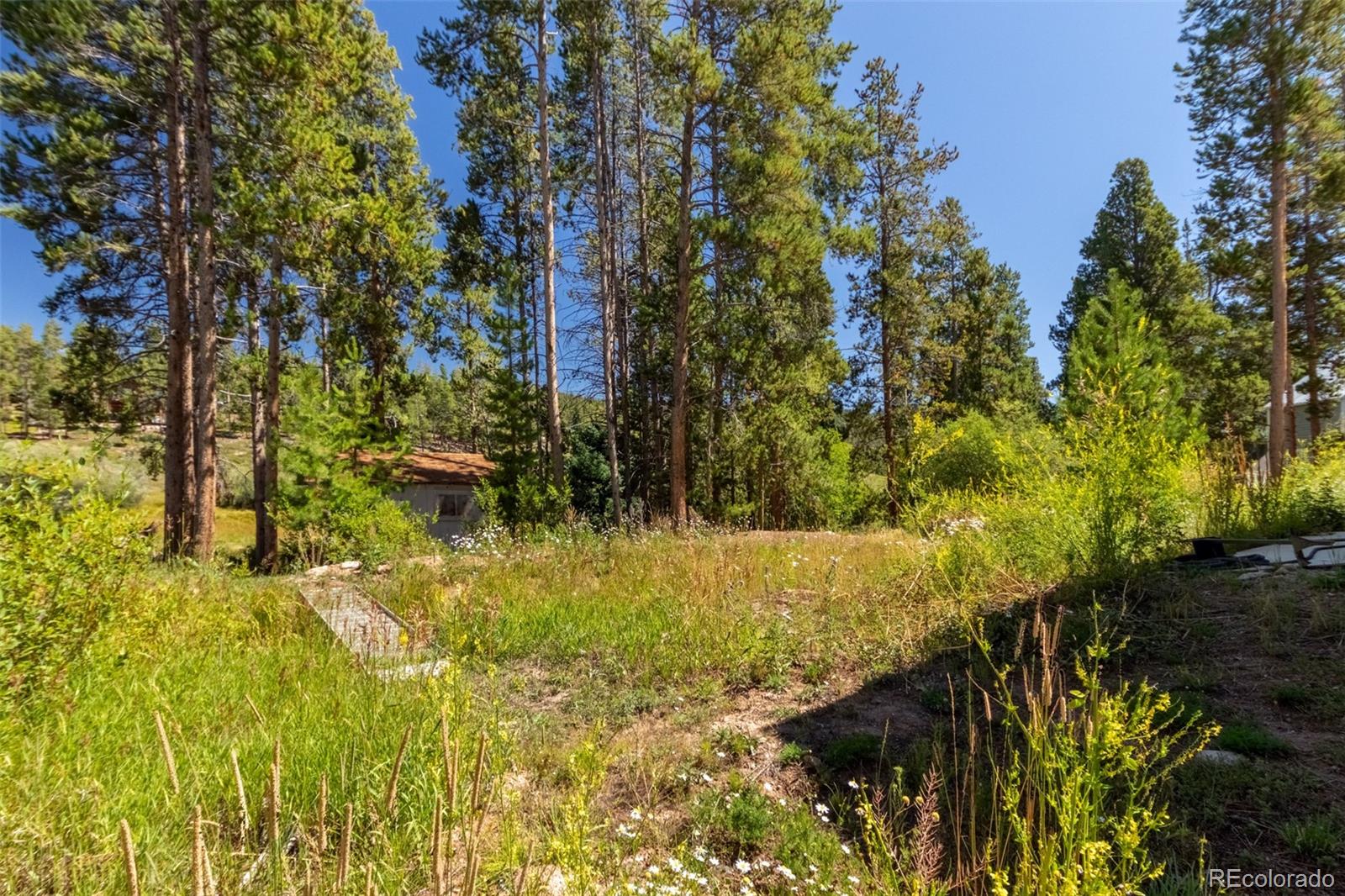 MLS Image #26 for 1388  gcr 64 ,grand lake, Colorado