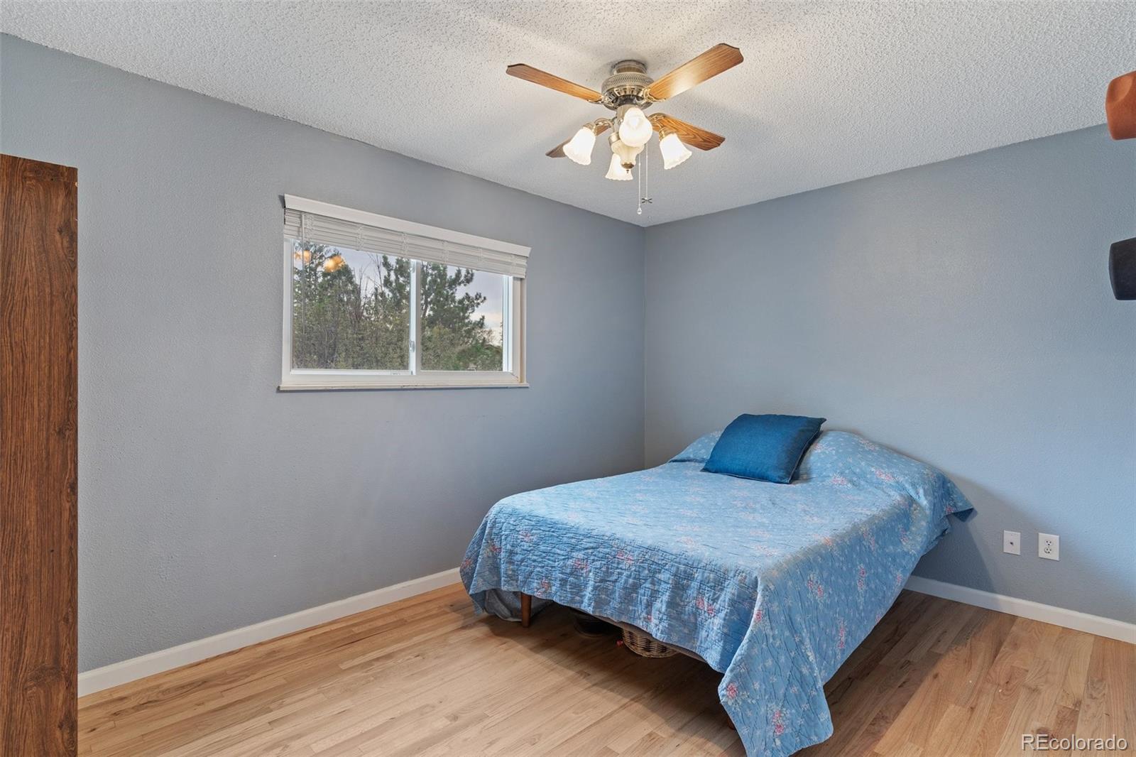 MLS Image #16 for 6830  snead street,colorado springs, Colorado