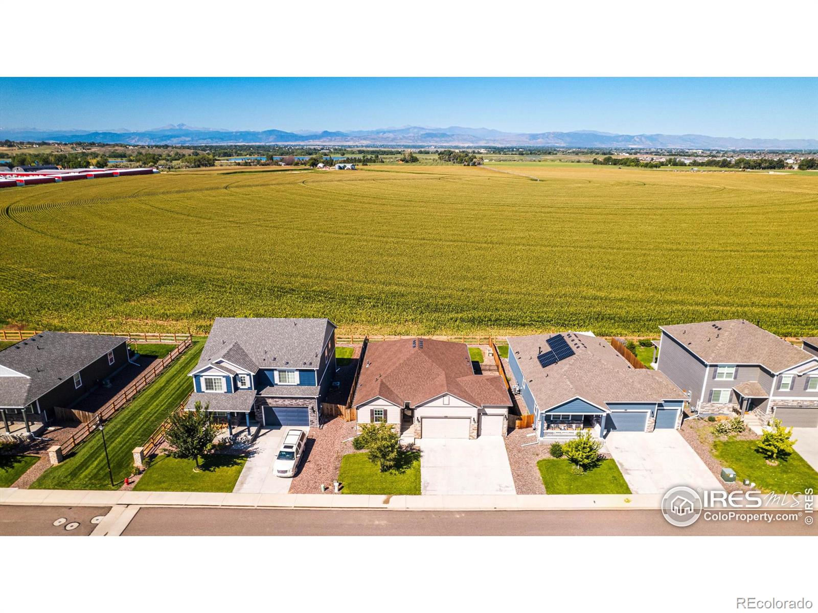 MLS Image #1 for 864  camberly drive,windsor, Colorado