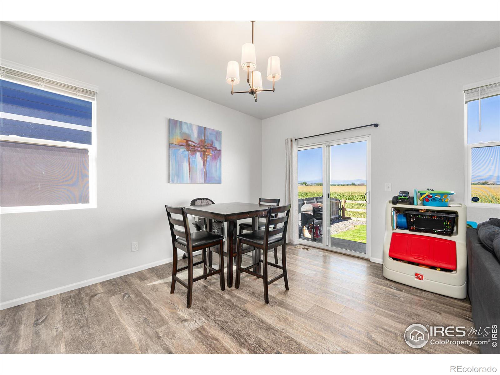 MLS Image #10 for 864  camberly drive,windsor, Colorado