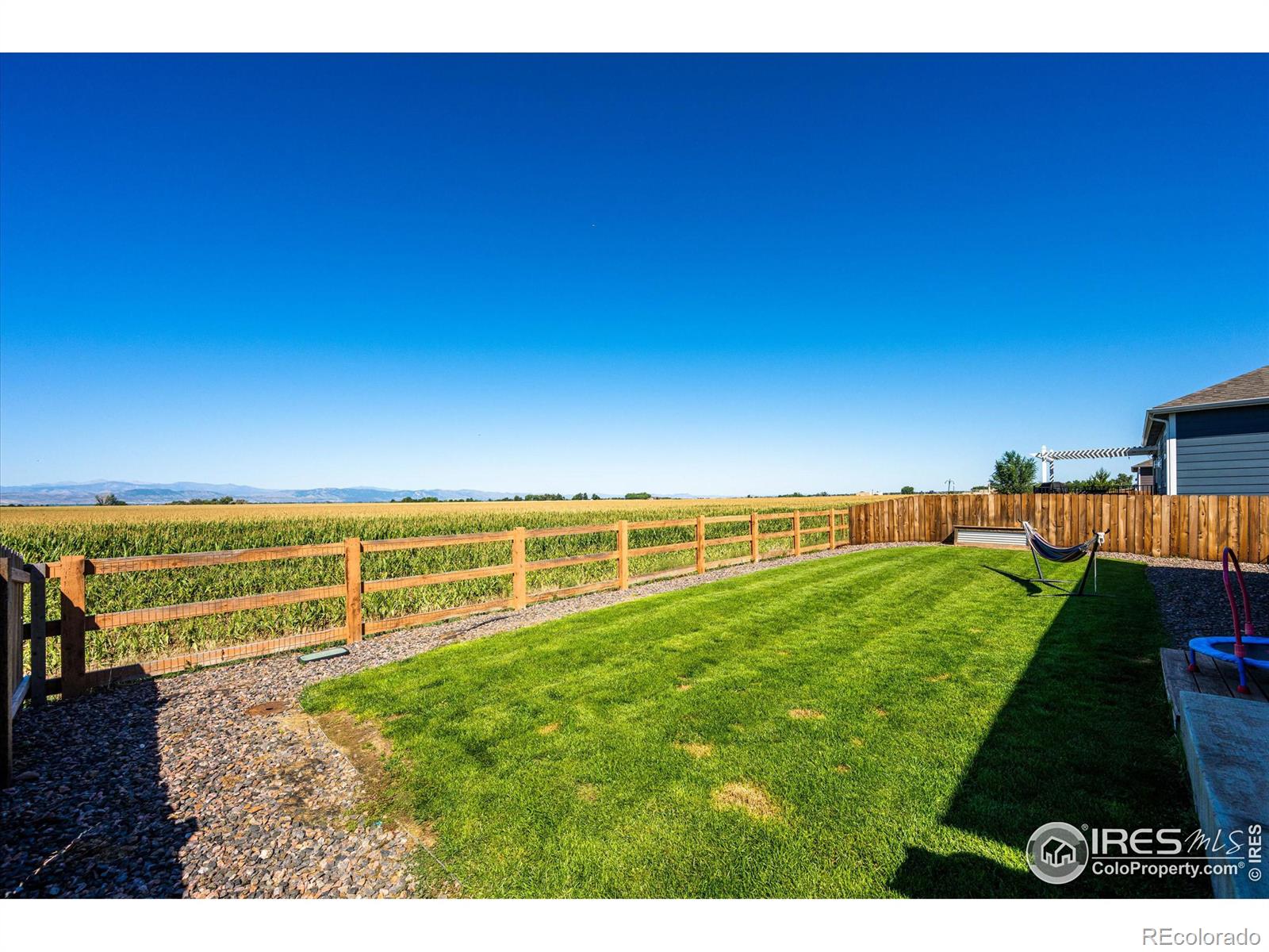 MLS Image #29 for 864  camberly drive,windsor, Colorado