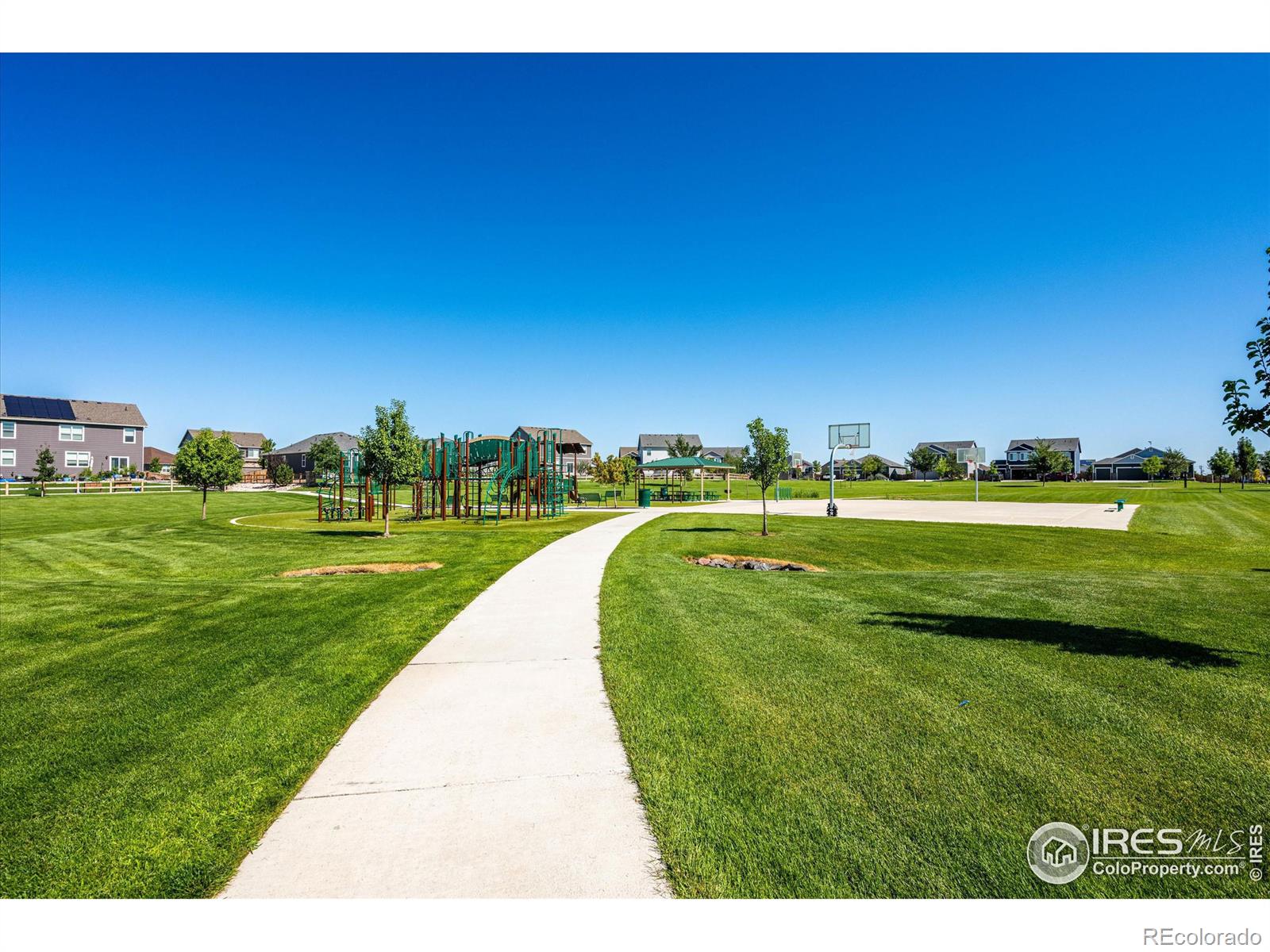 MLS Image #33 for 864  camberly drive,windsor, Colorado