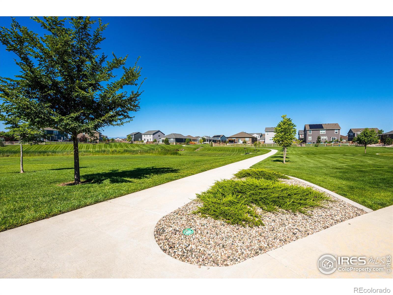 MLS Image #38 for 864  camberly drive,windsor, Colorado