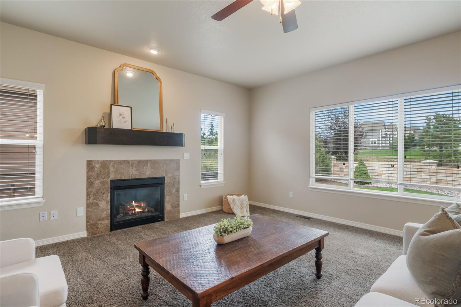 MLS Image #4 for 1063  deschutes drive,colorado springs, Colorado