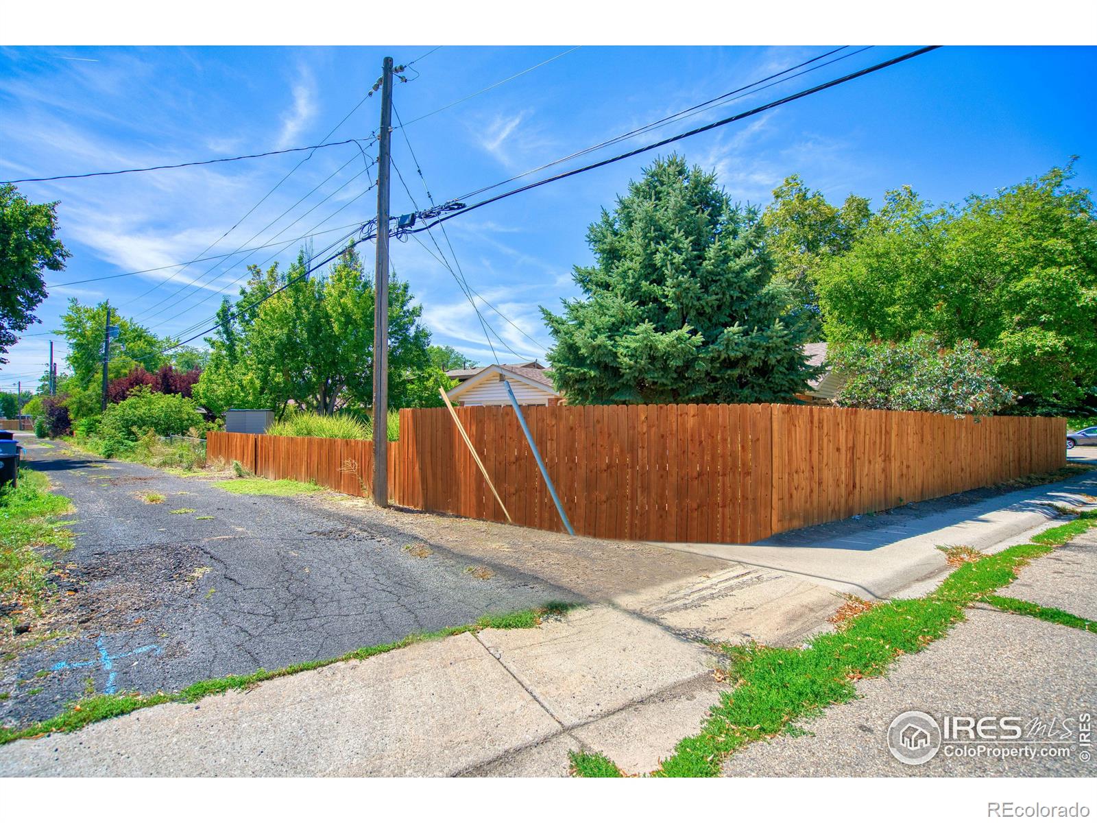 MLS Image #23 for 1918  corey street,longmont, Colorado