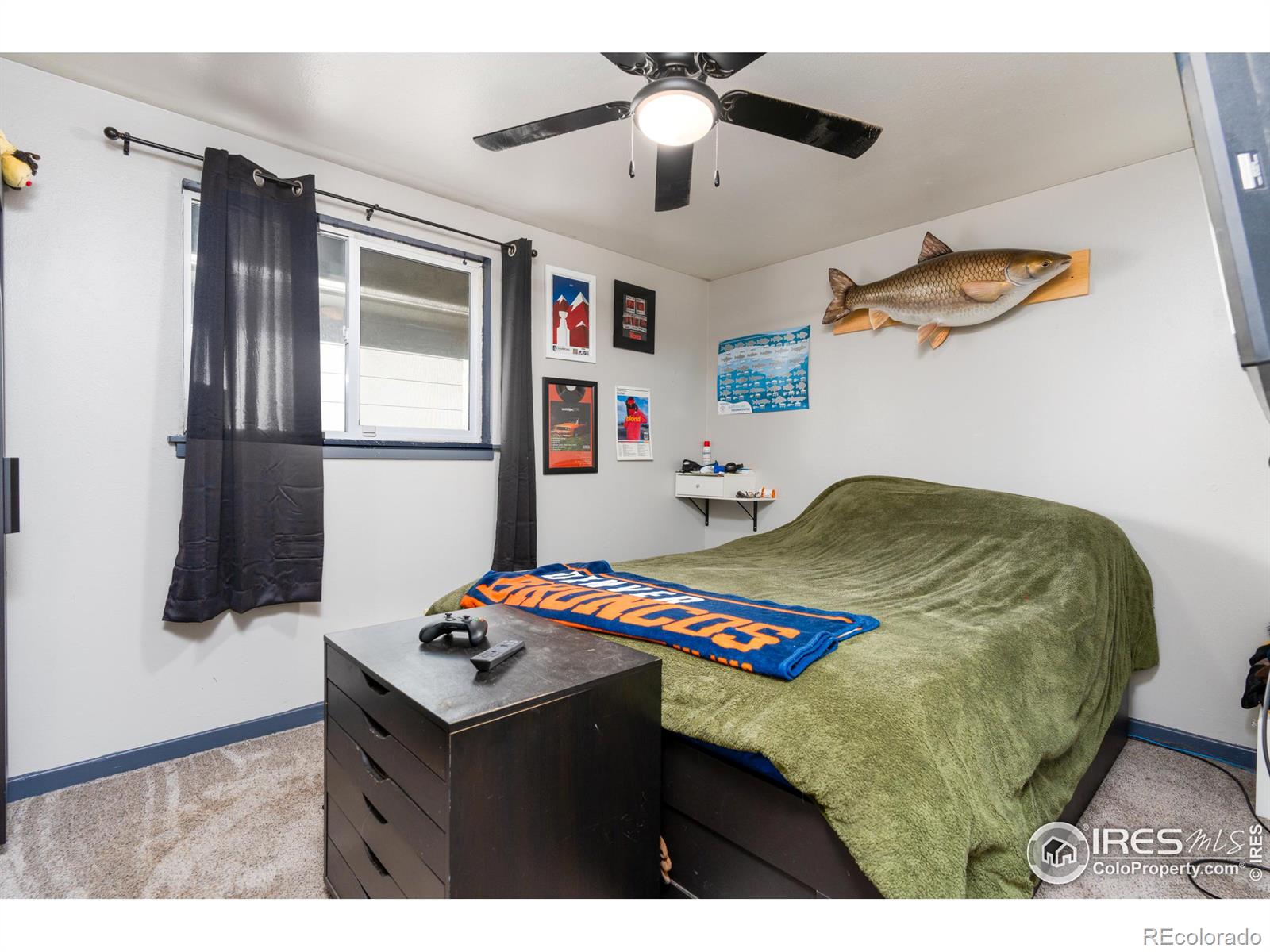 MLS Image #10 for 1341  sharpe place,longmont, Colorado