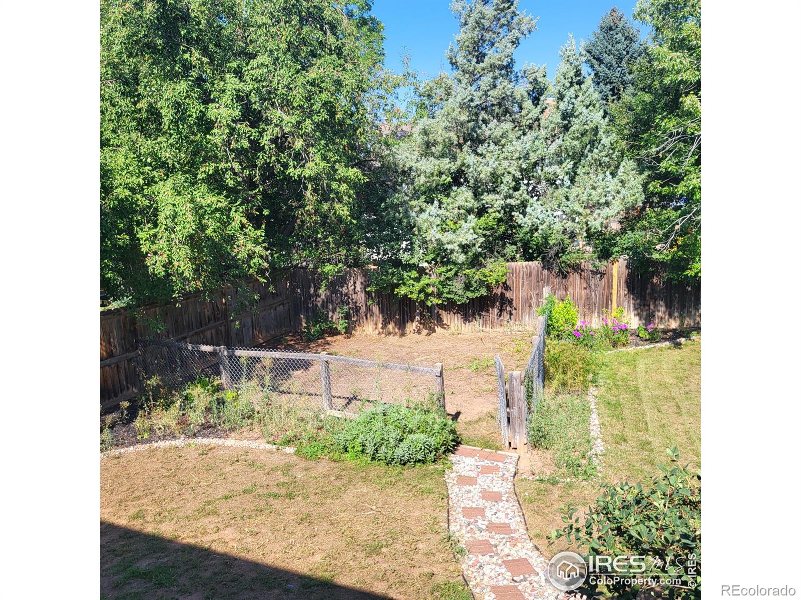 MLS Image #36 for 2418  leghorn drive,fort collins, Colorado