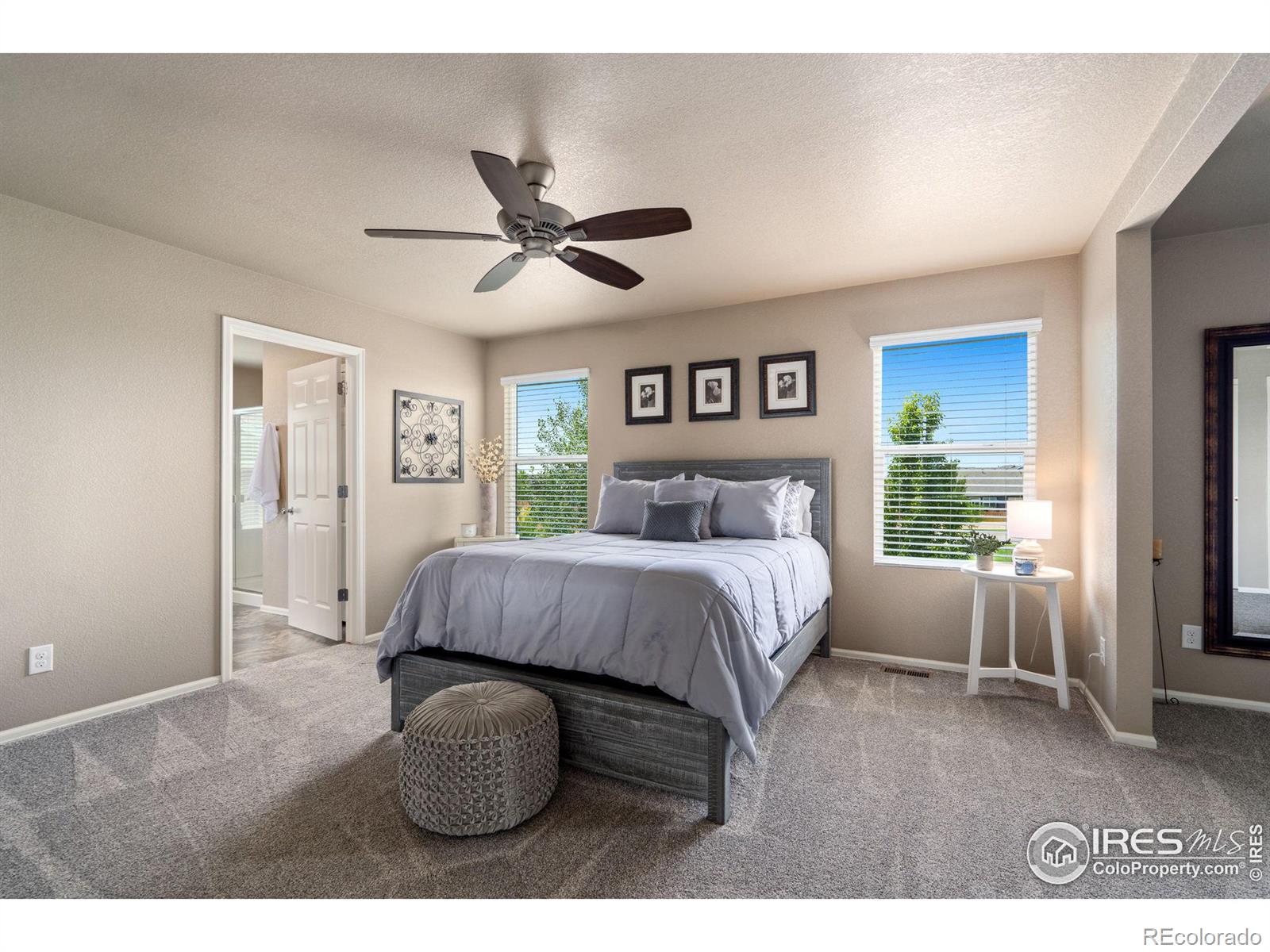 MLS Image #14 for 1529  taplow court,windsor, Colorado