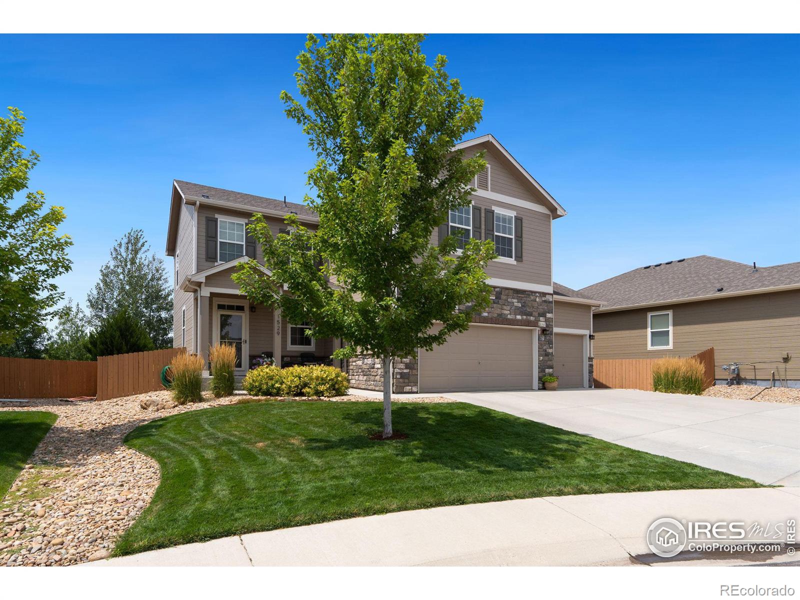 MLS Image #2 for 1529  taplow court,windsor, Colorado