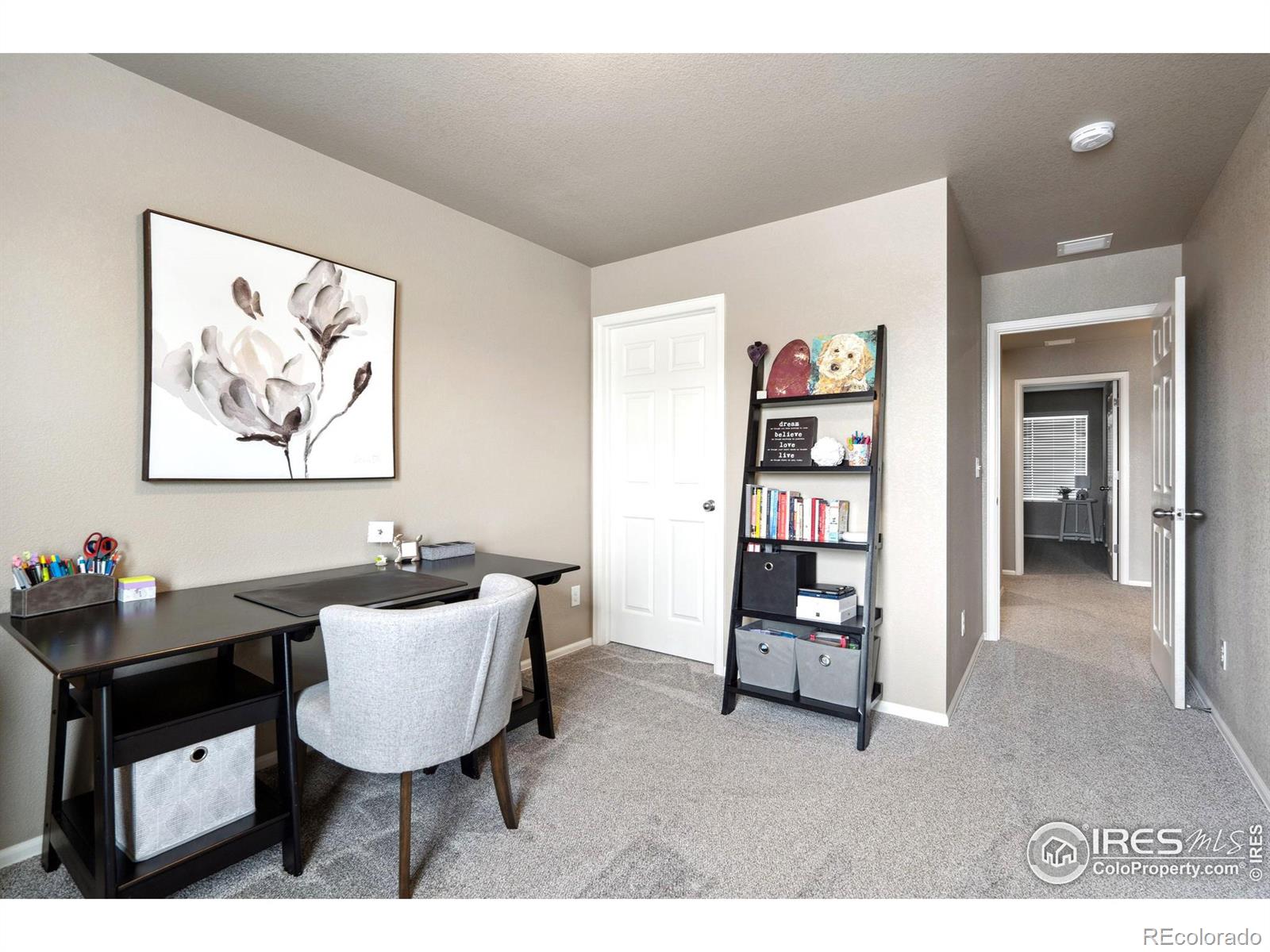 MLS Image #20 for 1529  taplow court,windsor, Colorado