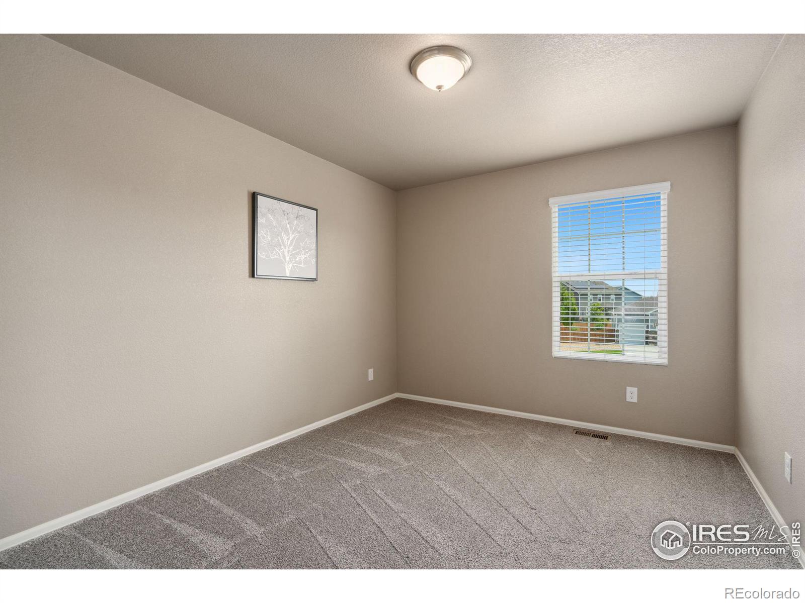 MLS Image #23 for 1529  taplow court,windsor, Colorado