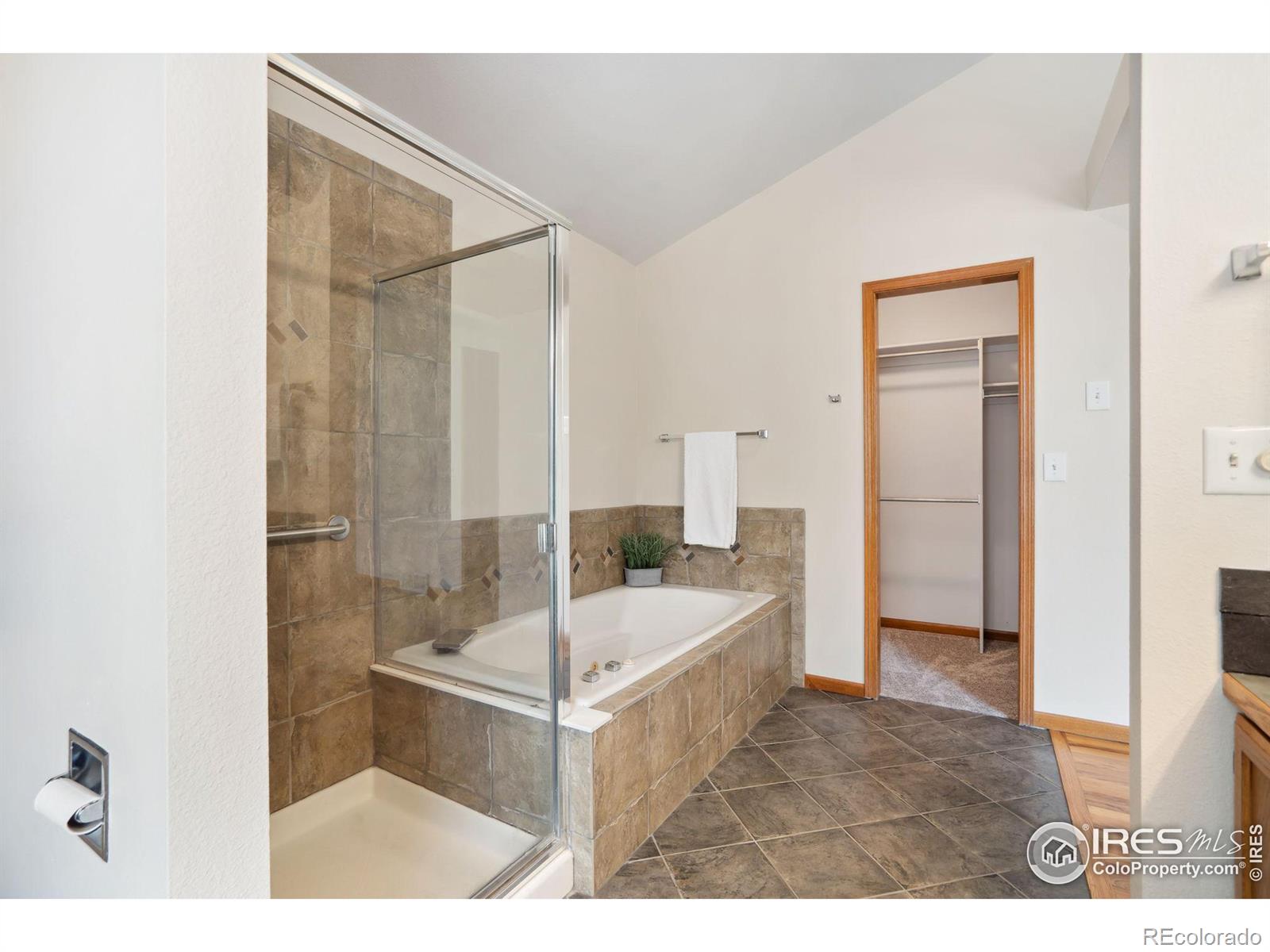 MLS Image #23 for 1006  bramblebush street,fort collins, Colorado