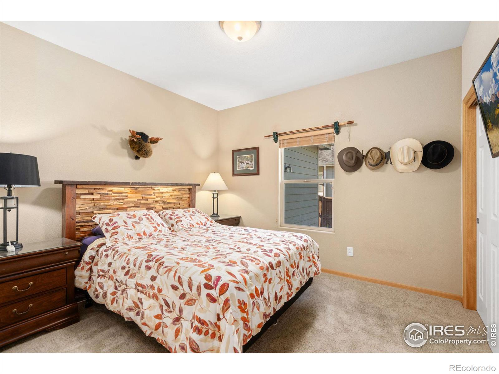 MLS Image #20 for 4760  fruita drive,loveland, Colorado