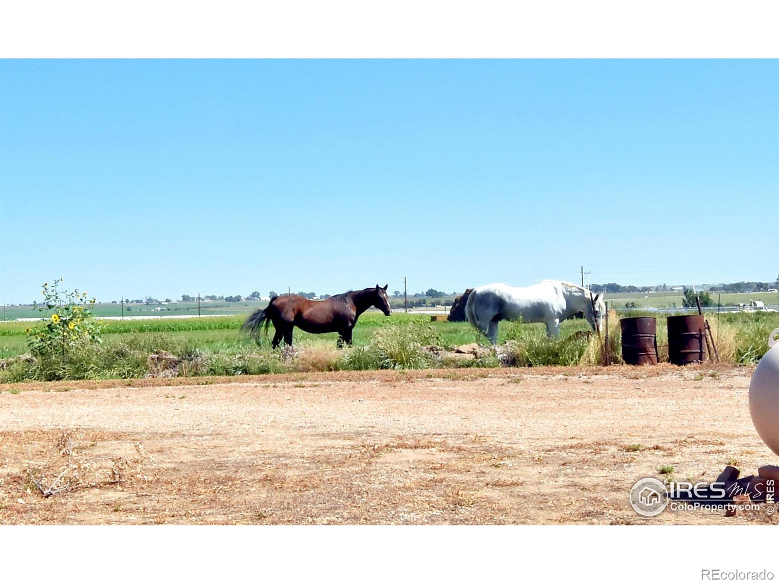 MLS Image #32 for 22801  county road 72 ,eaton, Colorado