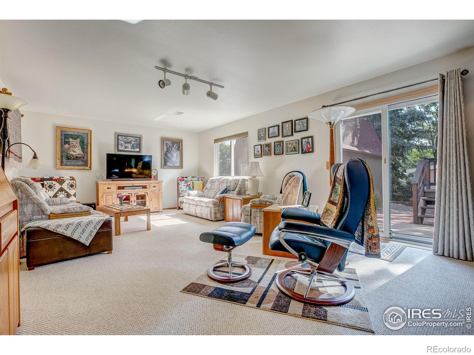 MLS Image #20 for 1400  sugarpine street,fort collins, Colorado