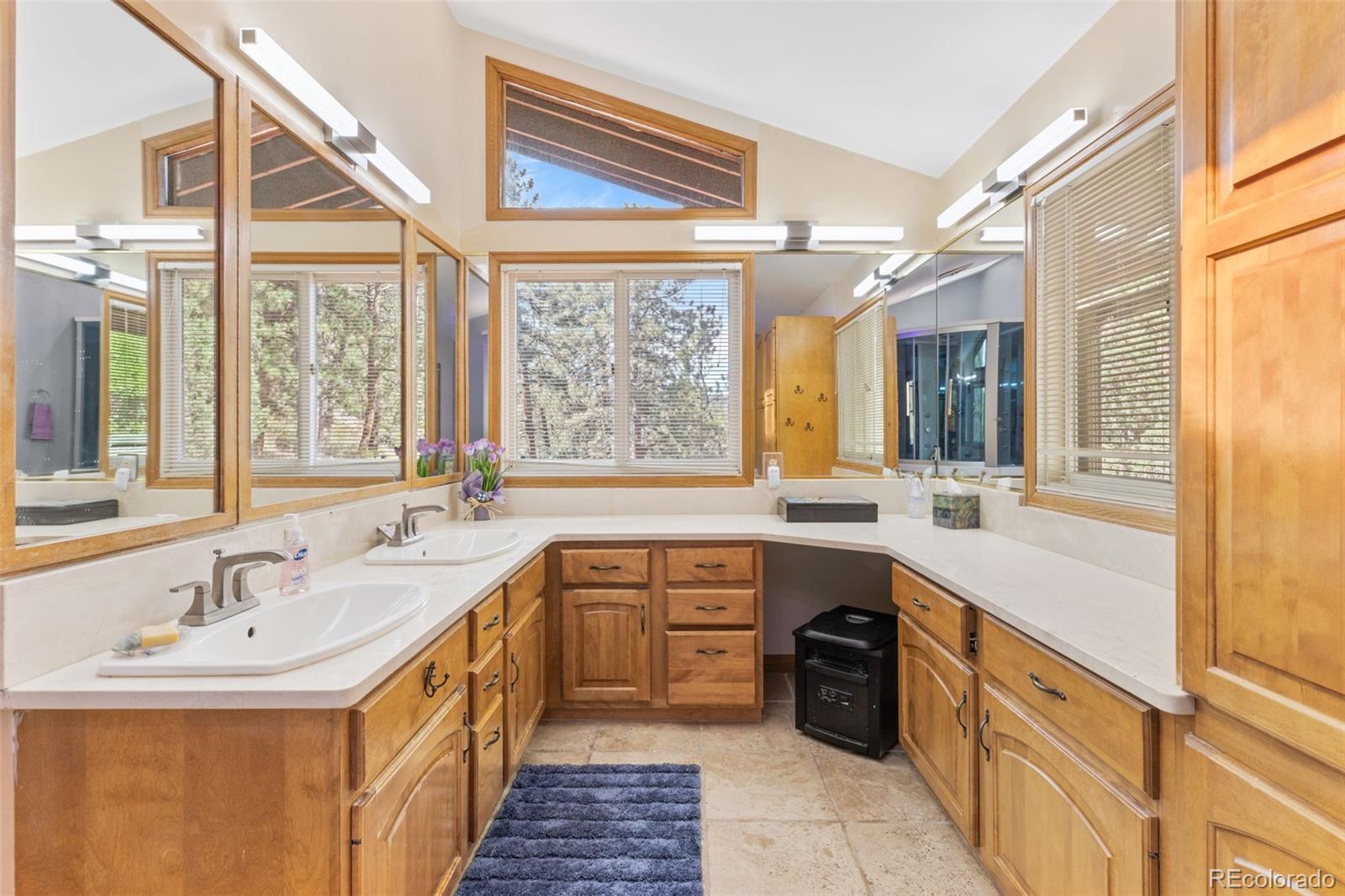 MLS Image #12 for 21191  pleasant park road,conifer, Colorado