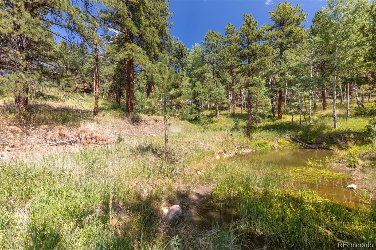 MLS Image #30 for 21191  pleasant park road,conifer, Colorado