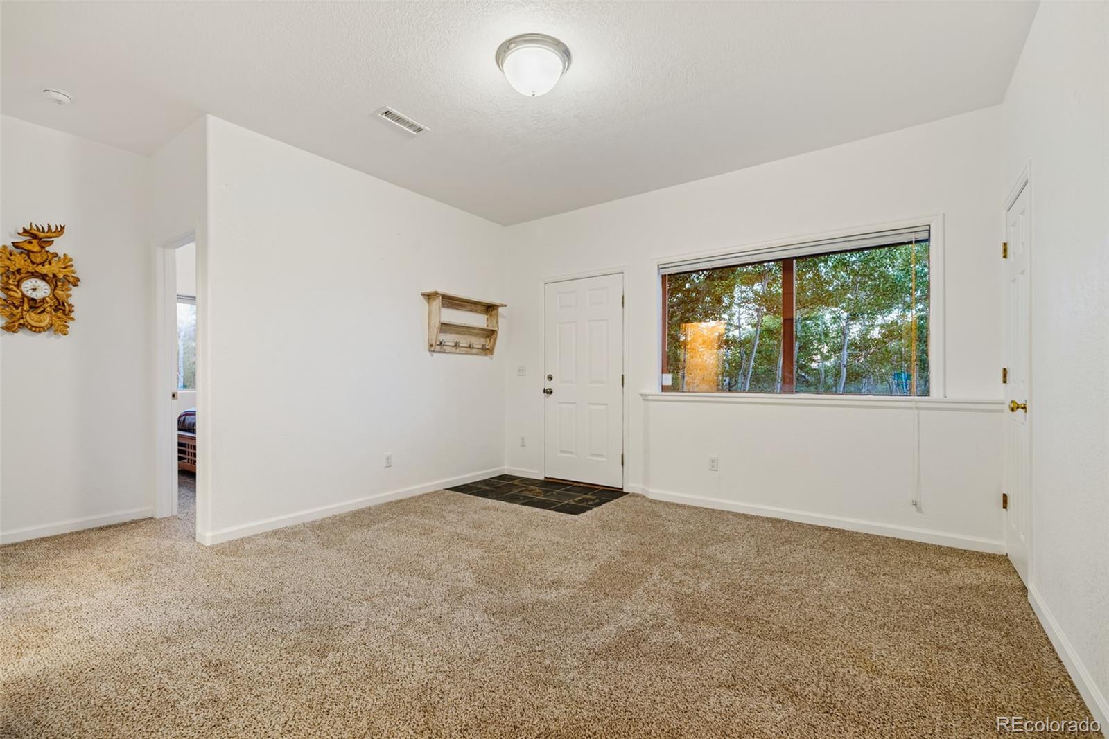 MLS Image #28 for 1210  kiowa street,como, Colorado