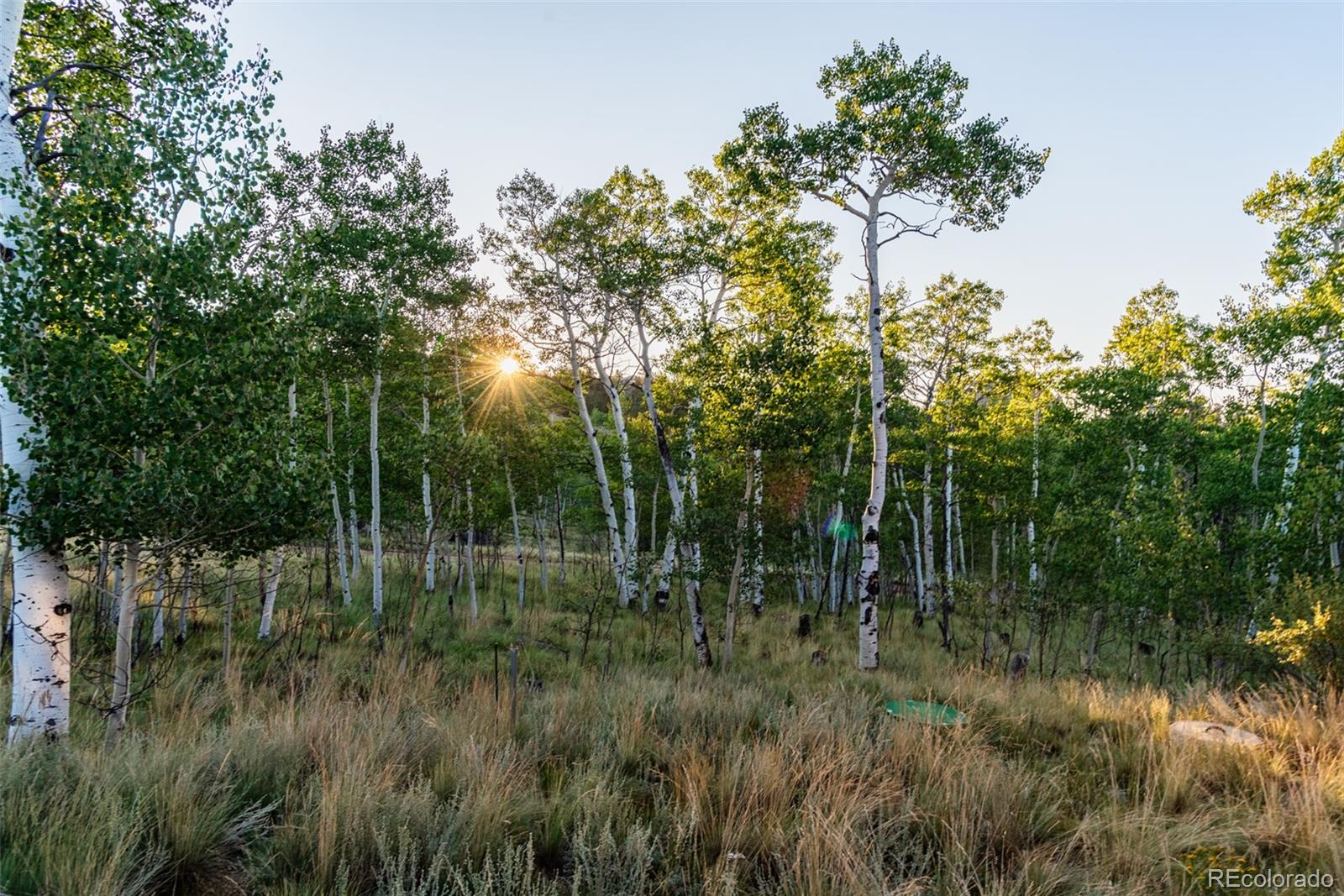 MLS Image #35 for 1210  kiowa street,como, Colorado