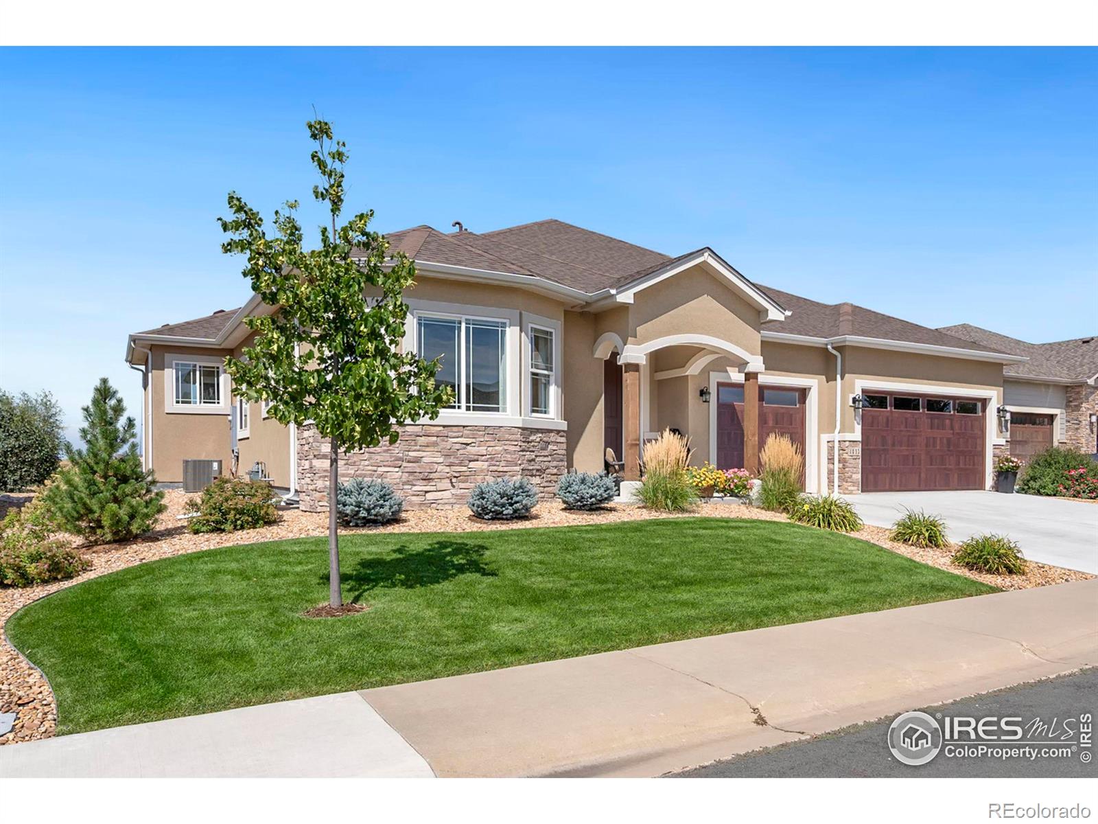 CMA Image for 1033  Coral Burst Drive,Loveland, Colorado