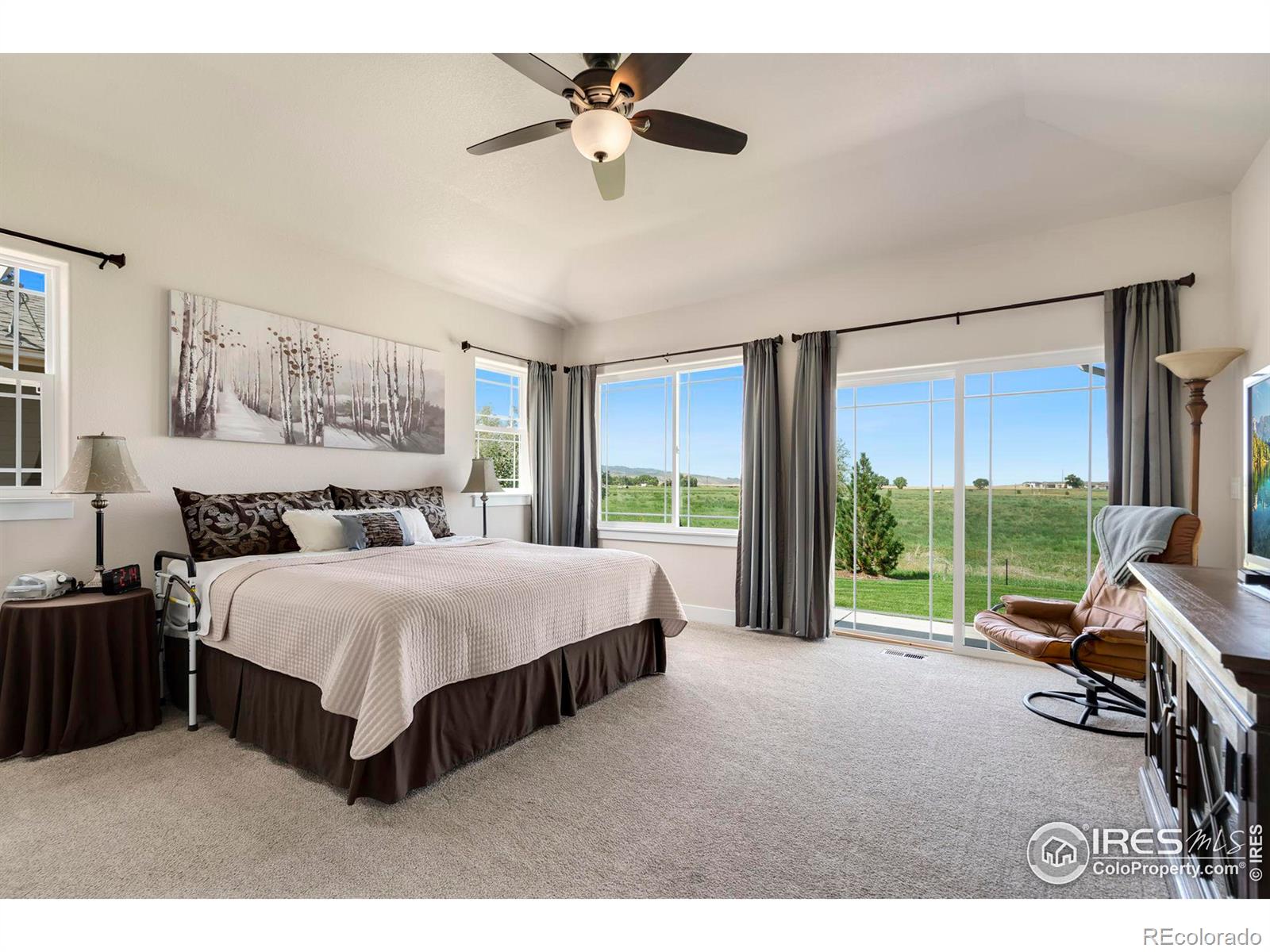 MLS Image #16 for 1033  coral burst drive,loveland, Colorado