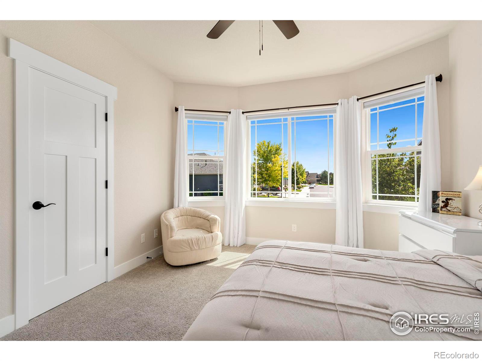 MLS Image #21 for 1033  coral burst drive,loveland, Colorado