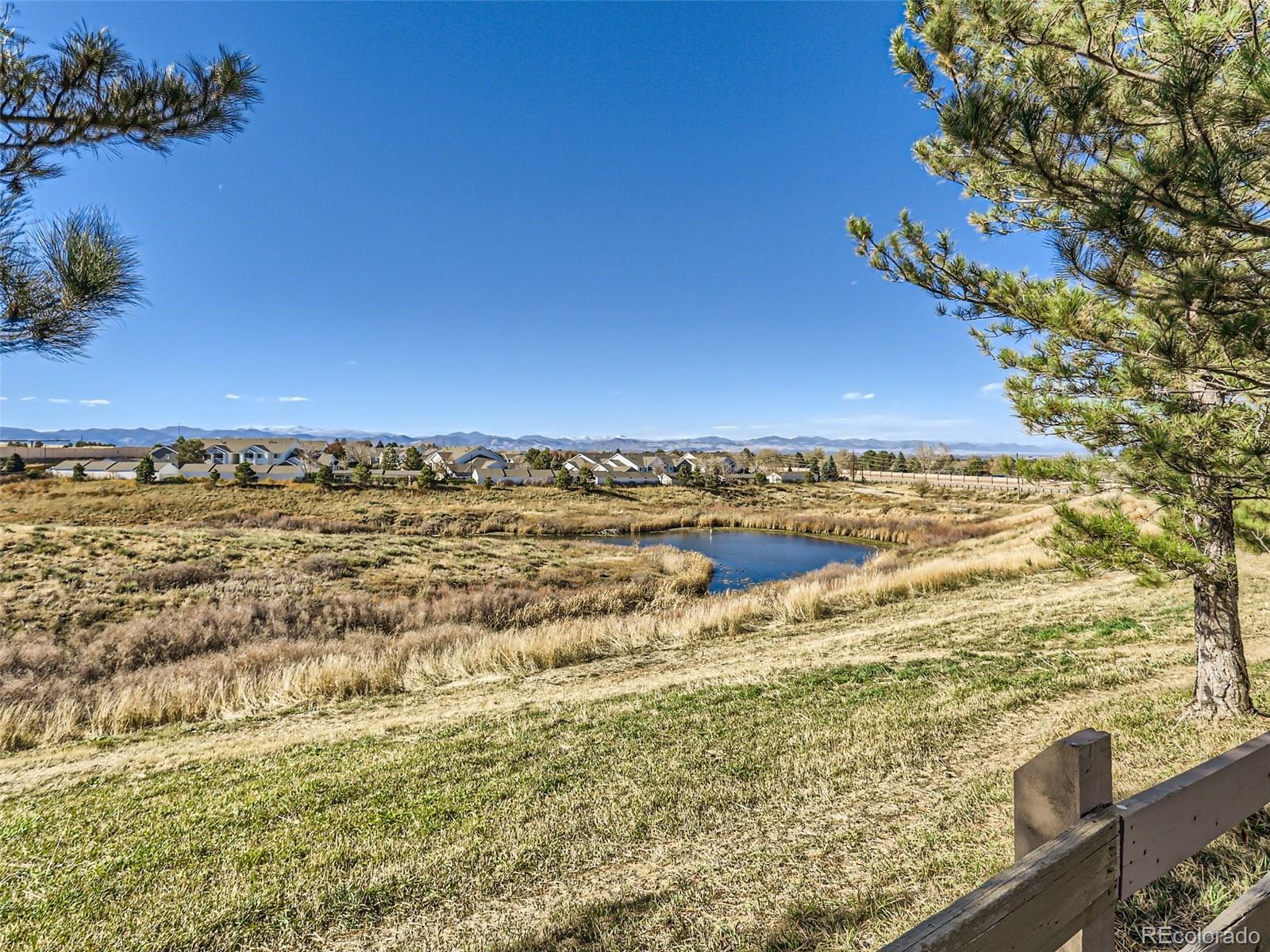 MLS Image #20 for 8405  pebble  creek way,highlands ranch, Colorado