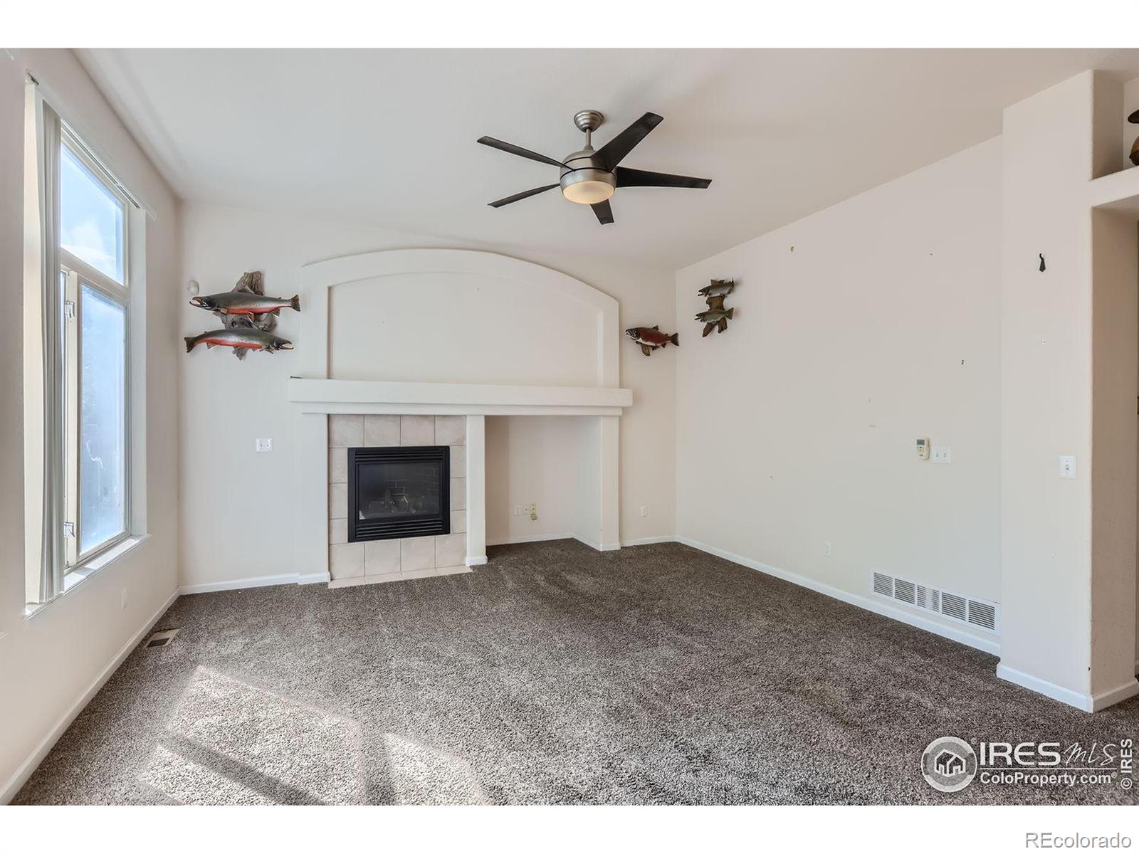 MLS Image #11 for 130  becker circle,johnstown, Colorado