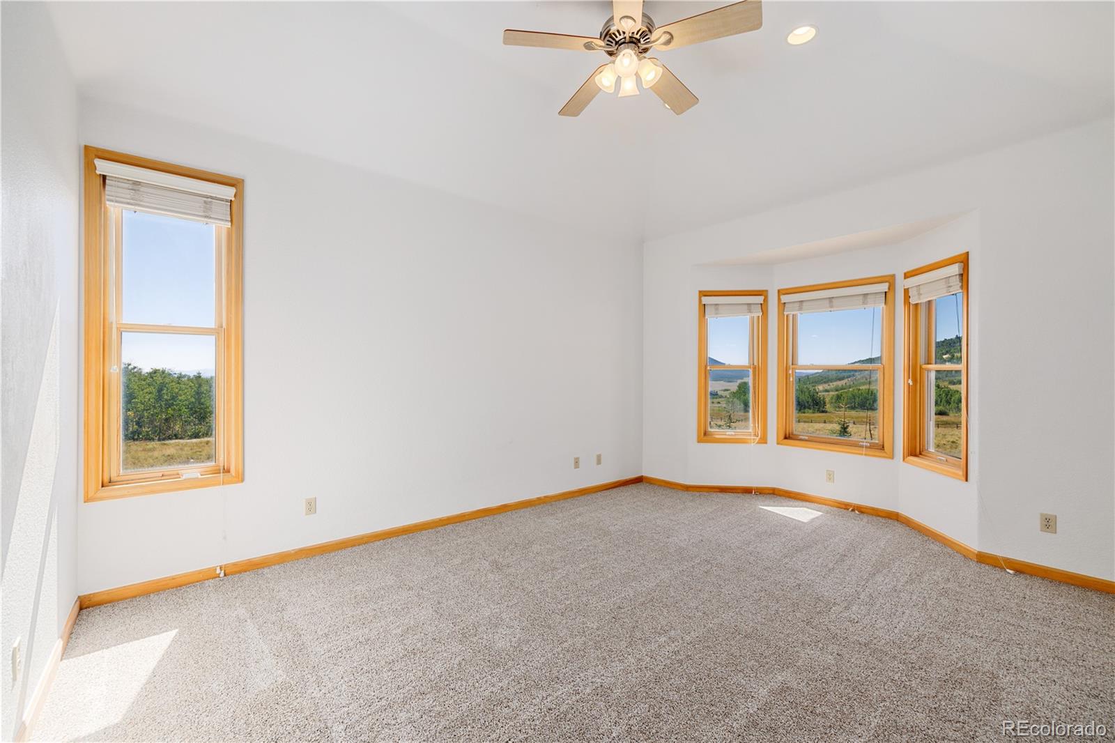 MLS Image #11 for 114  round hill road,fairplay, Colorado