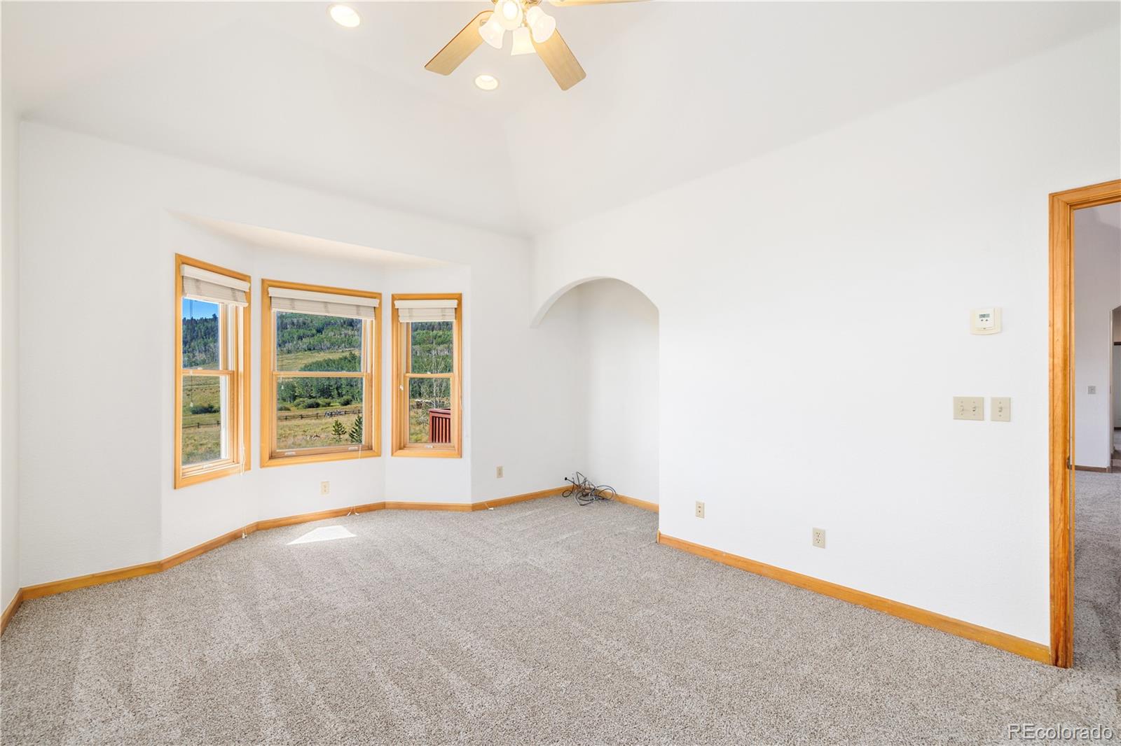 MLS Image #12 for 114  round hill road,fairplay, Colorado