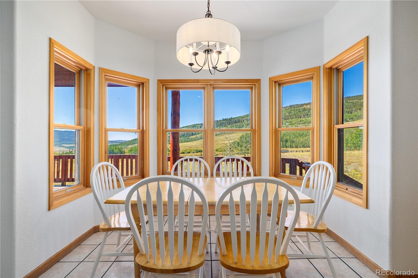 MLS Image #14 for 114  round hill road,fairplay, Colorado