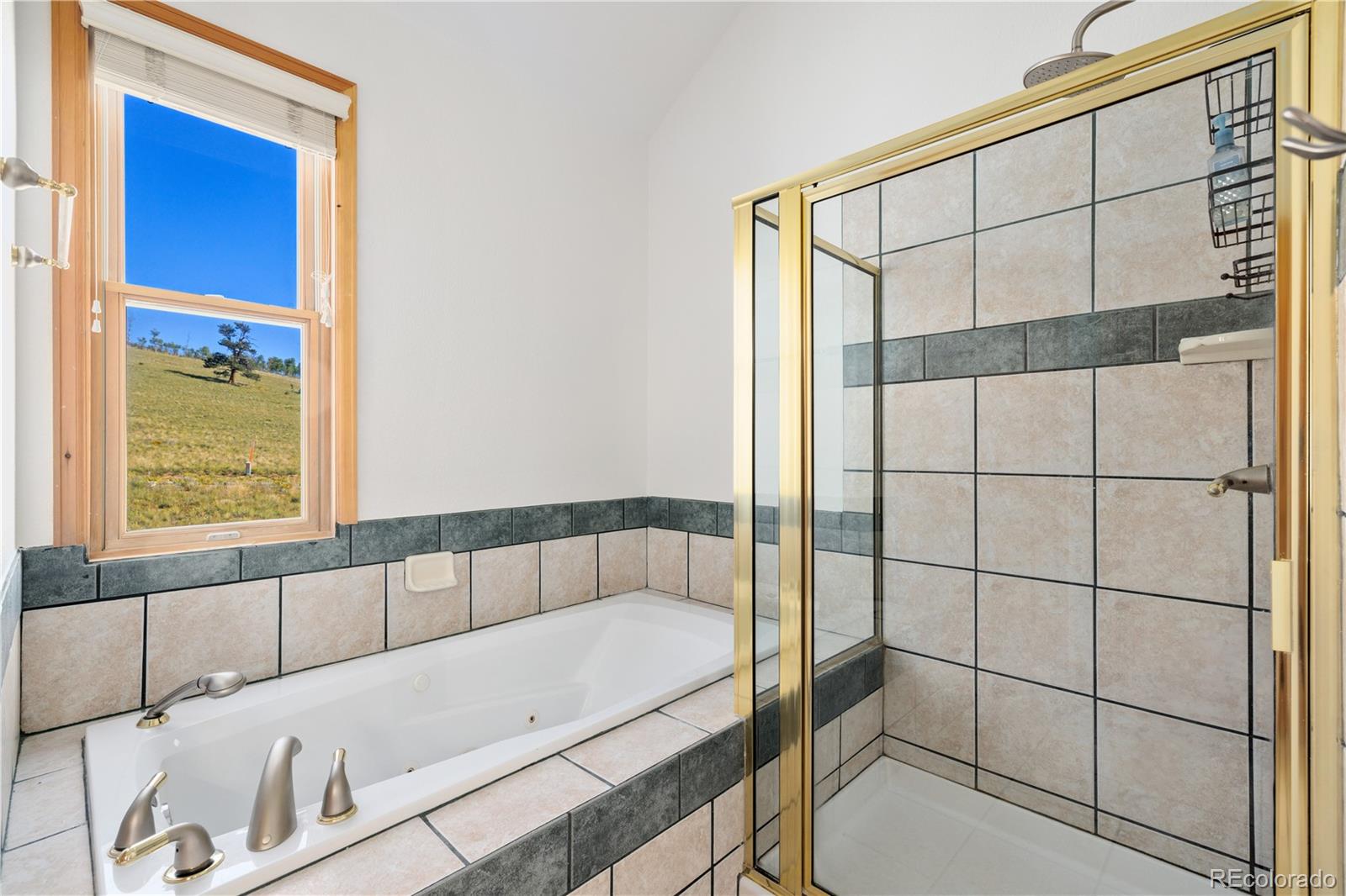 MLS Image #18 for 114  round hill road,fairplay, Colorado