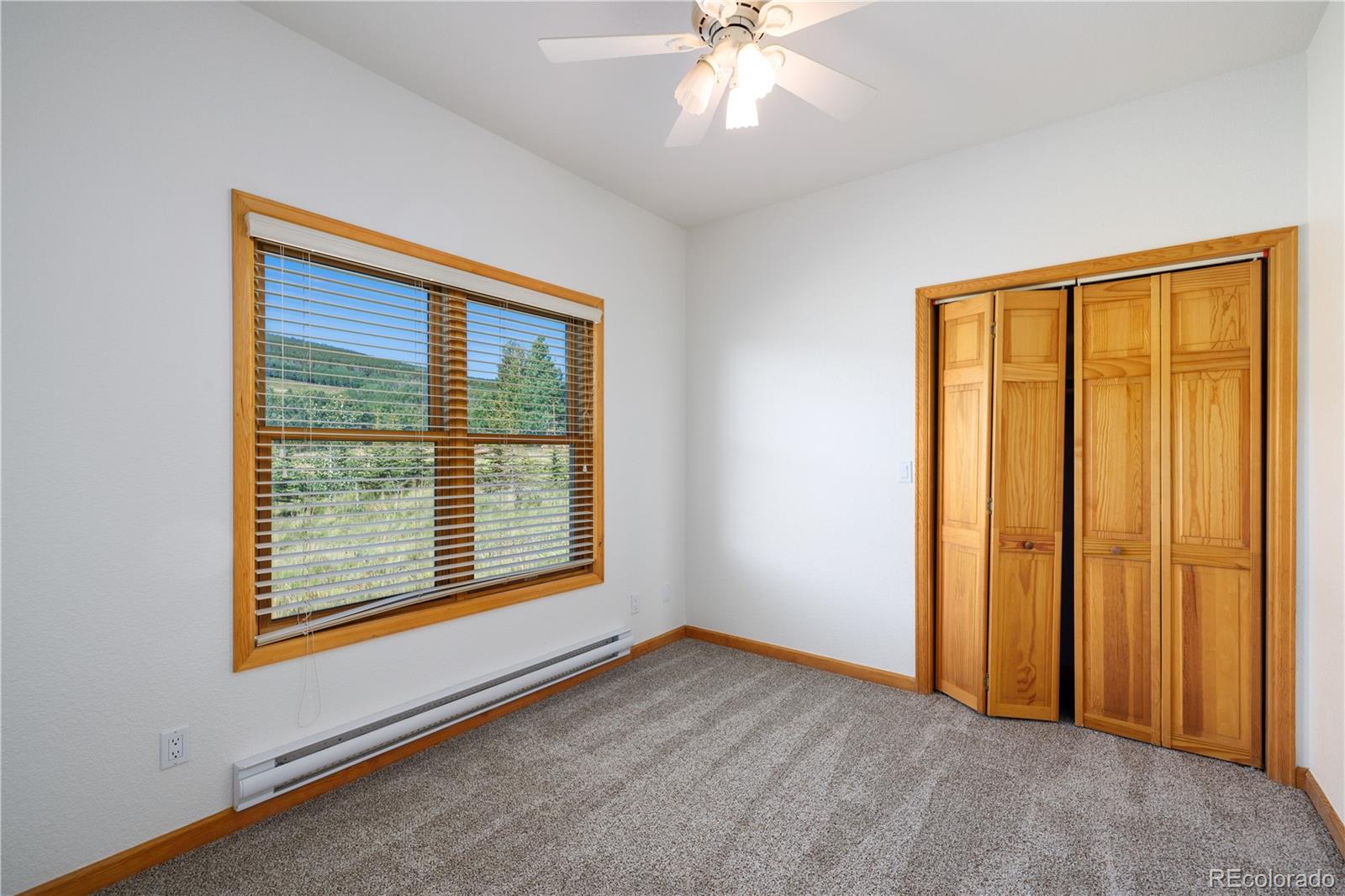 MLS Image #21 for 114  round hill road,fairplay, Colorado