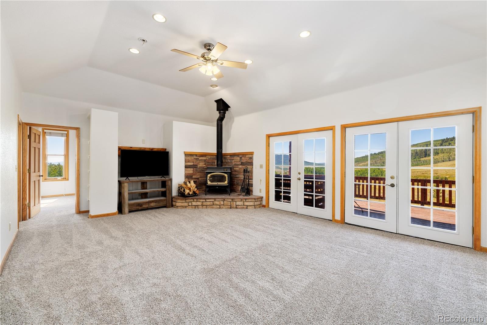 MLS Image #4 for 114  round hill road,fairplay, Colorado