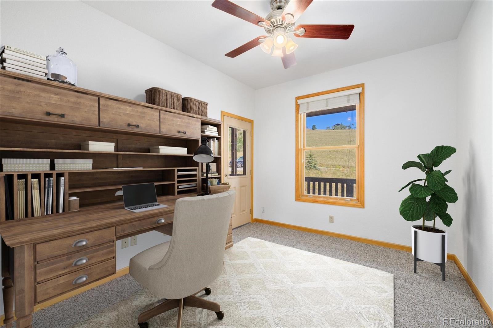 MLS Image #8 for 114  round hill road,fairplay, Colorado