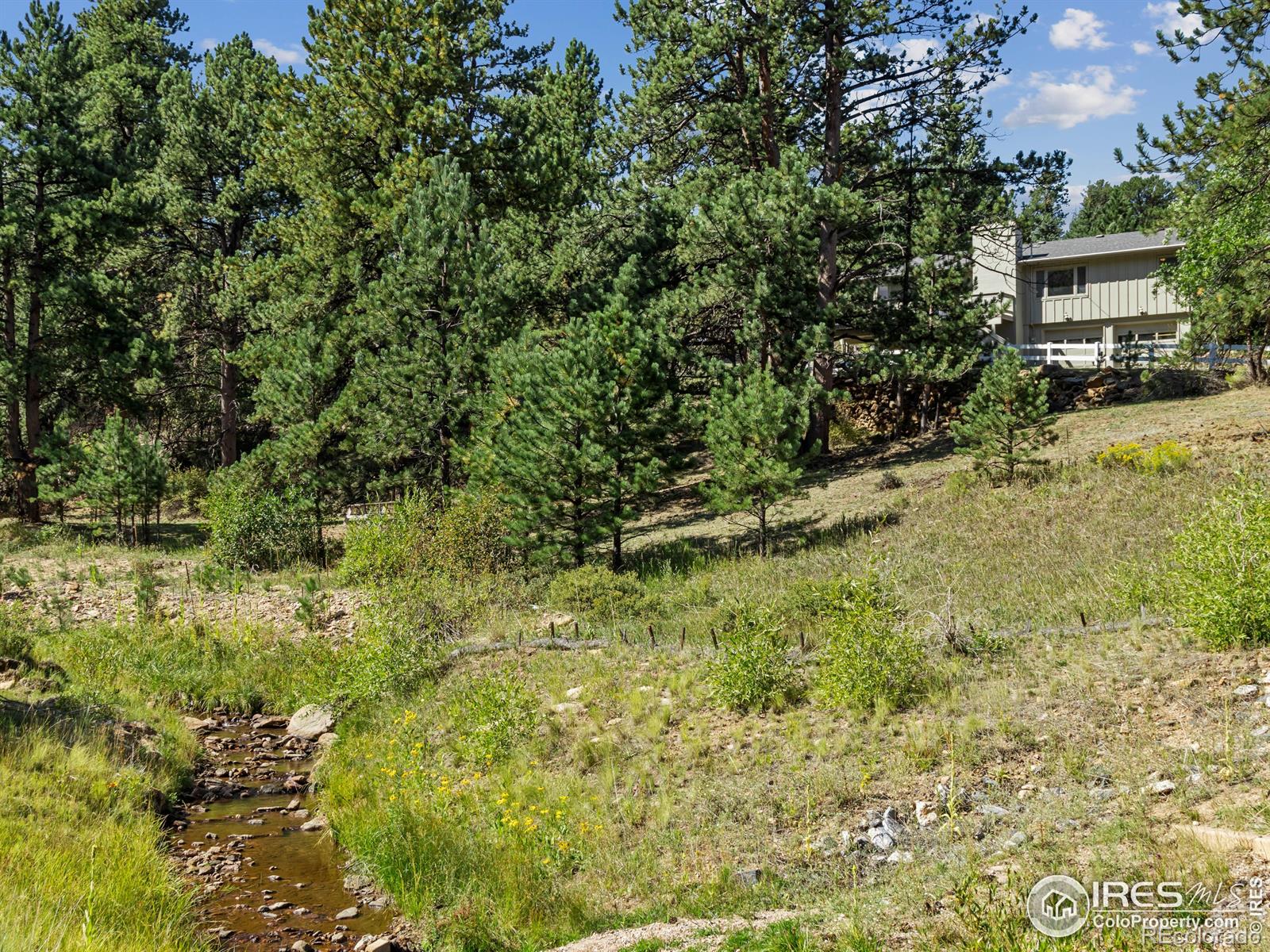 MLS Image #1 for 2700  wildwood drive,estes park, Colorado