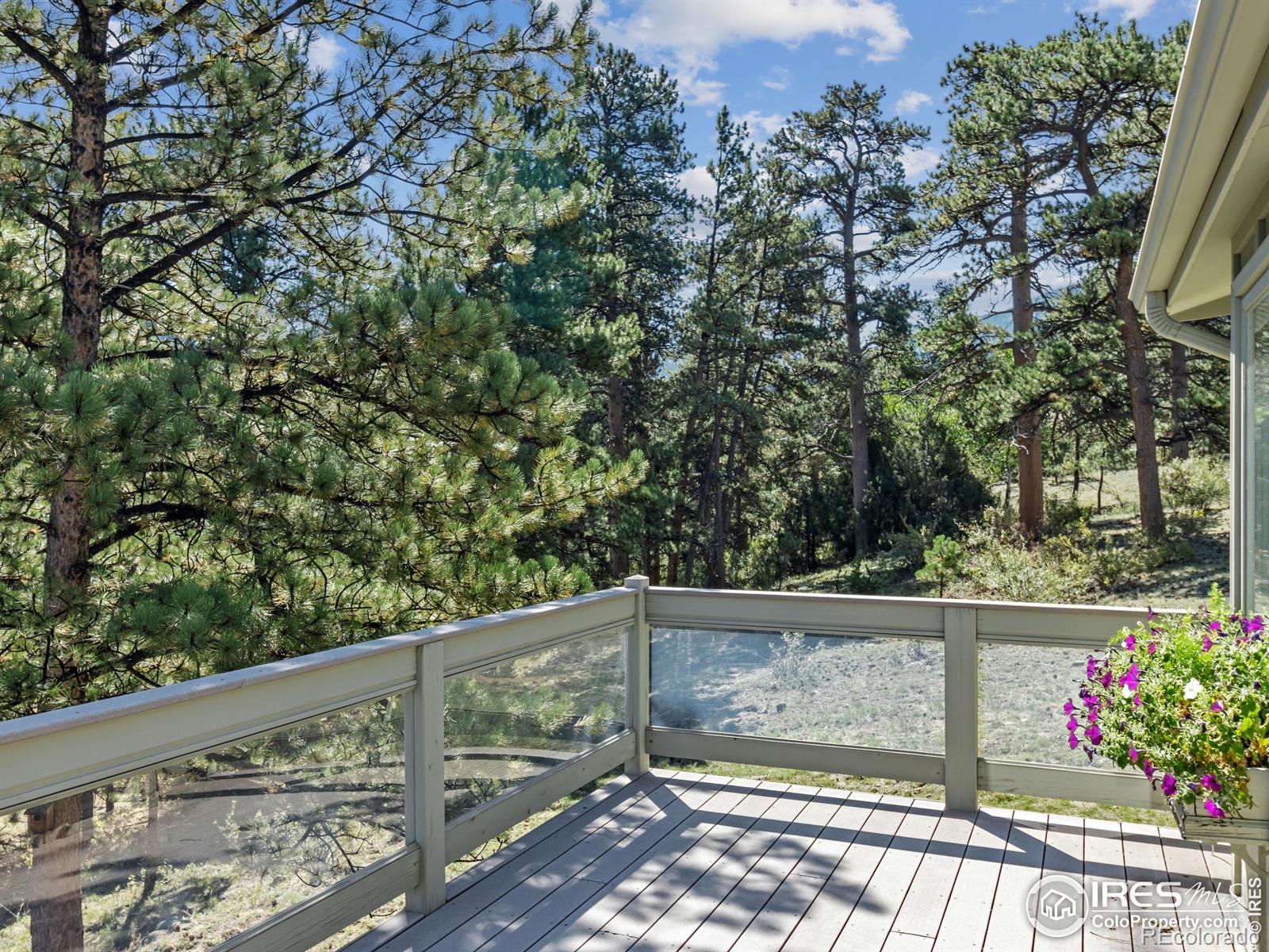 MLS Image #11 for 2700  wildwood drive,estes park, Colorado